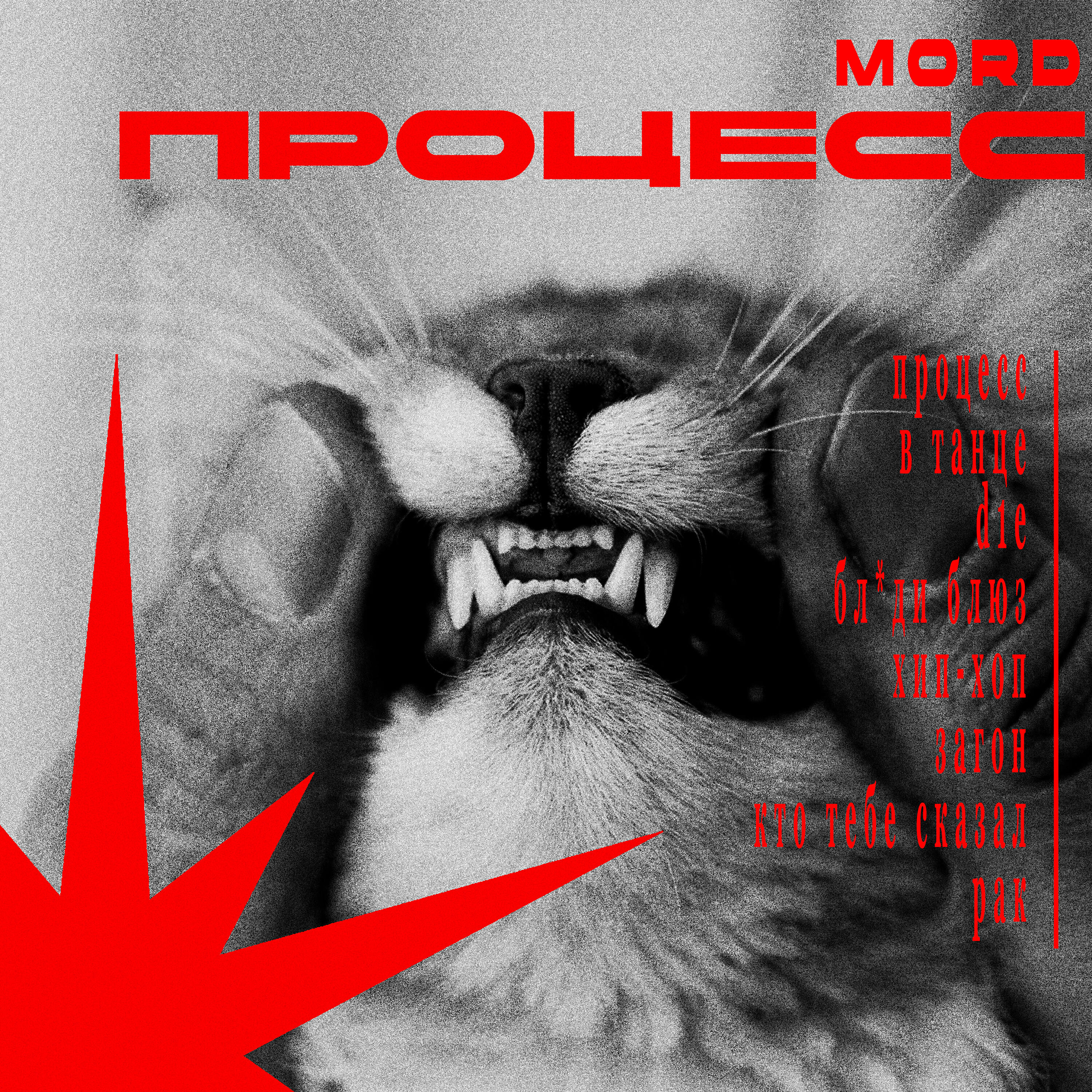 Релиз ПРОЦЕСС