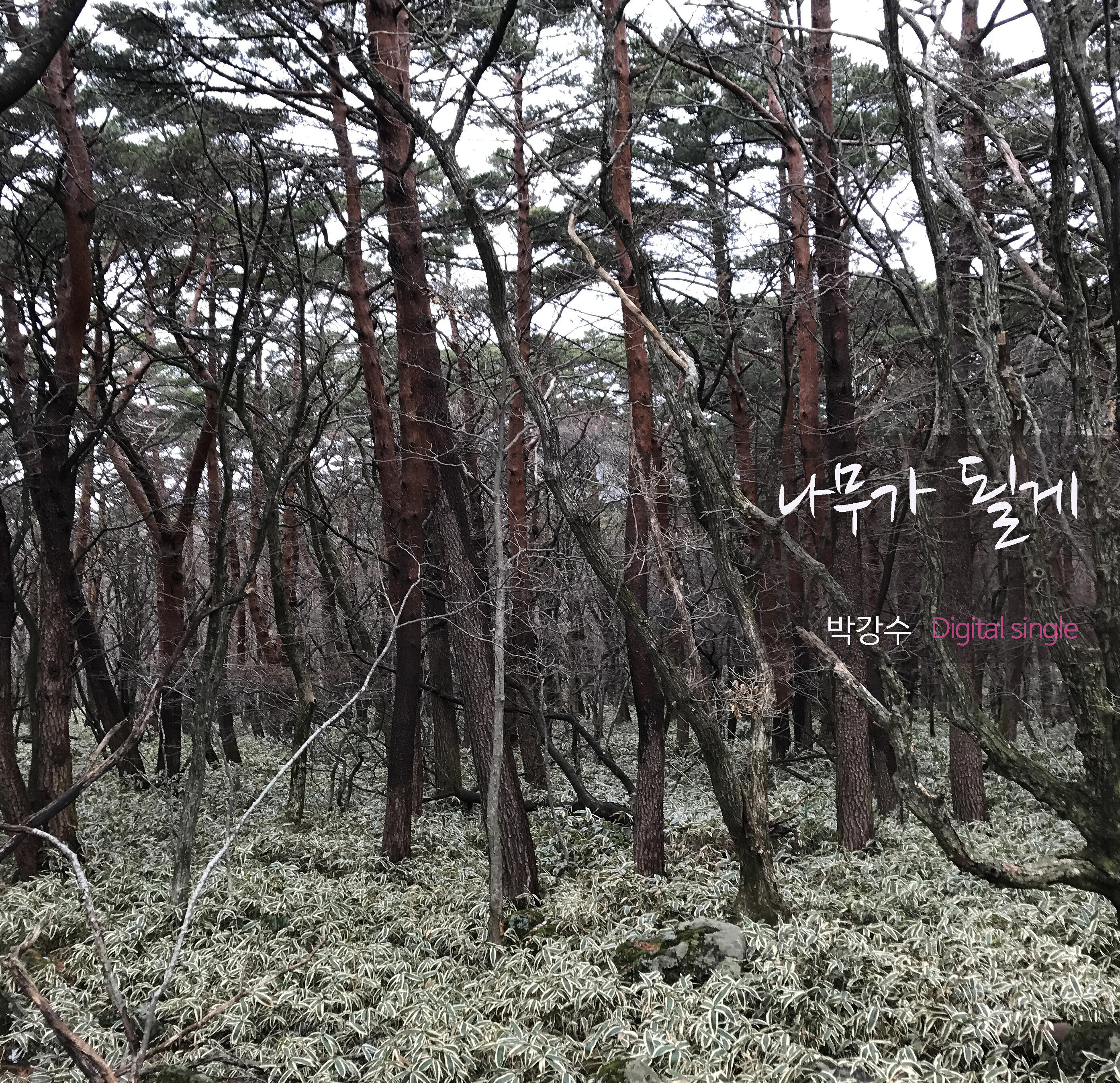 Релиз become a tree