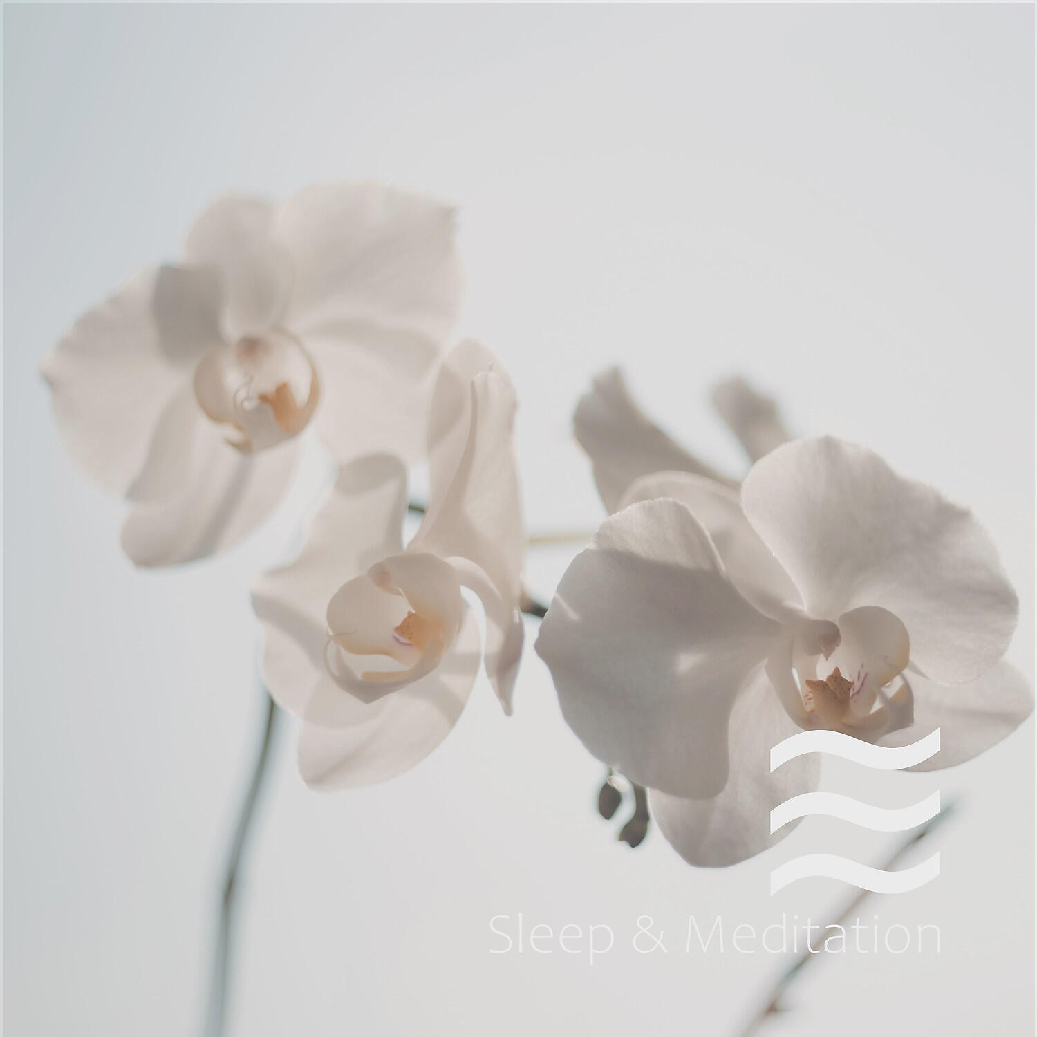 Релиз White Noise for Meditation Spring Collection
