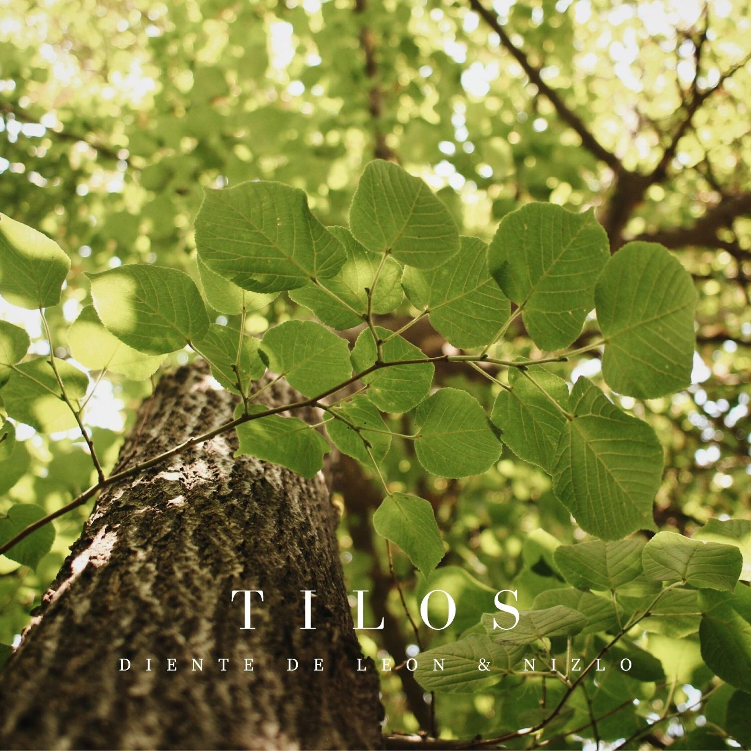 Релиз Tilos