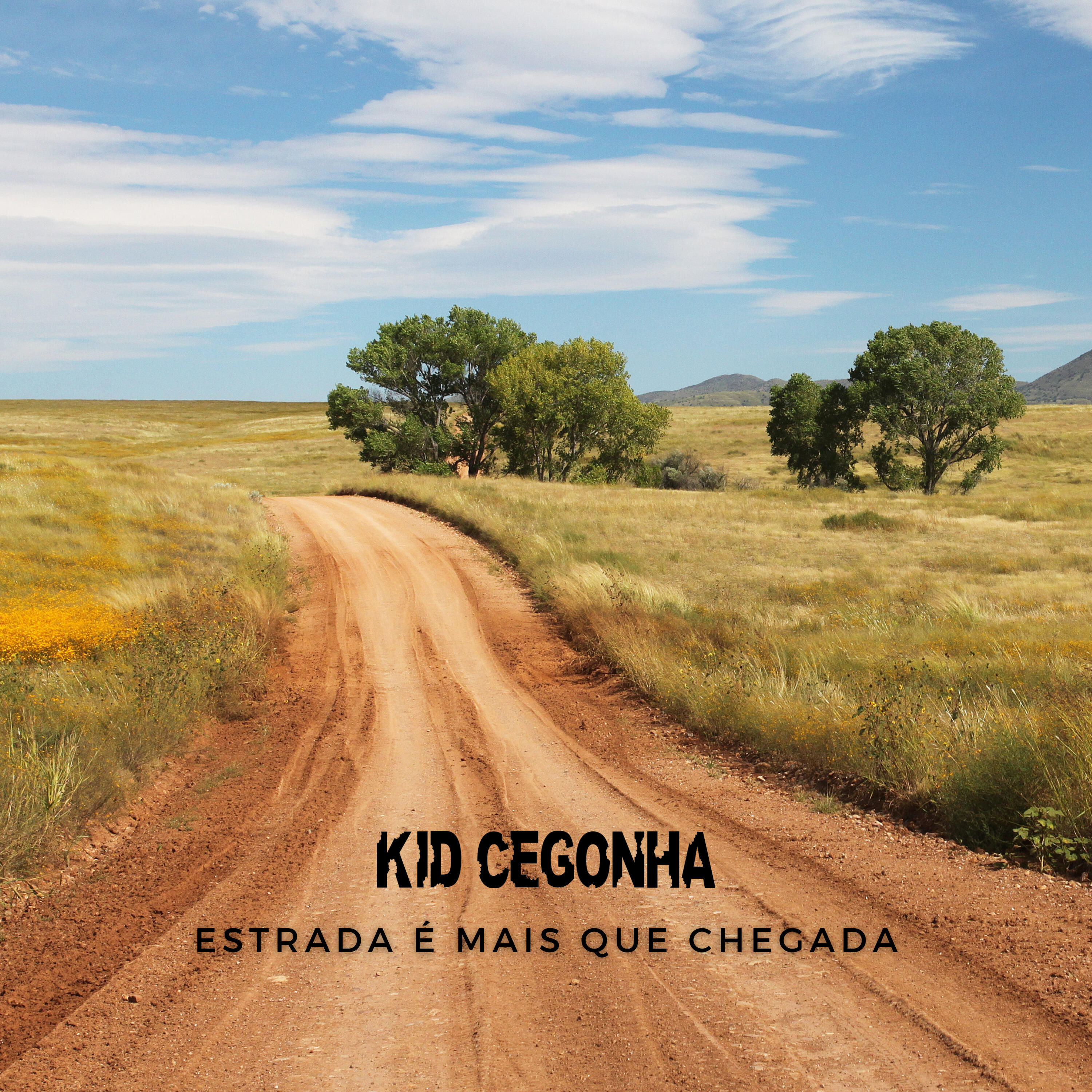 Kid Cegonha
