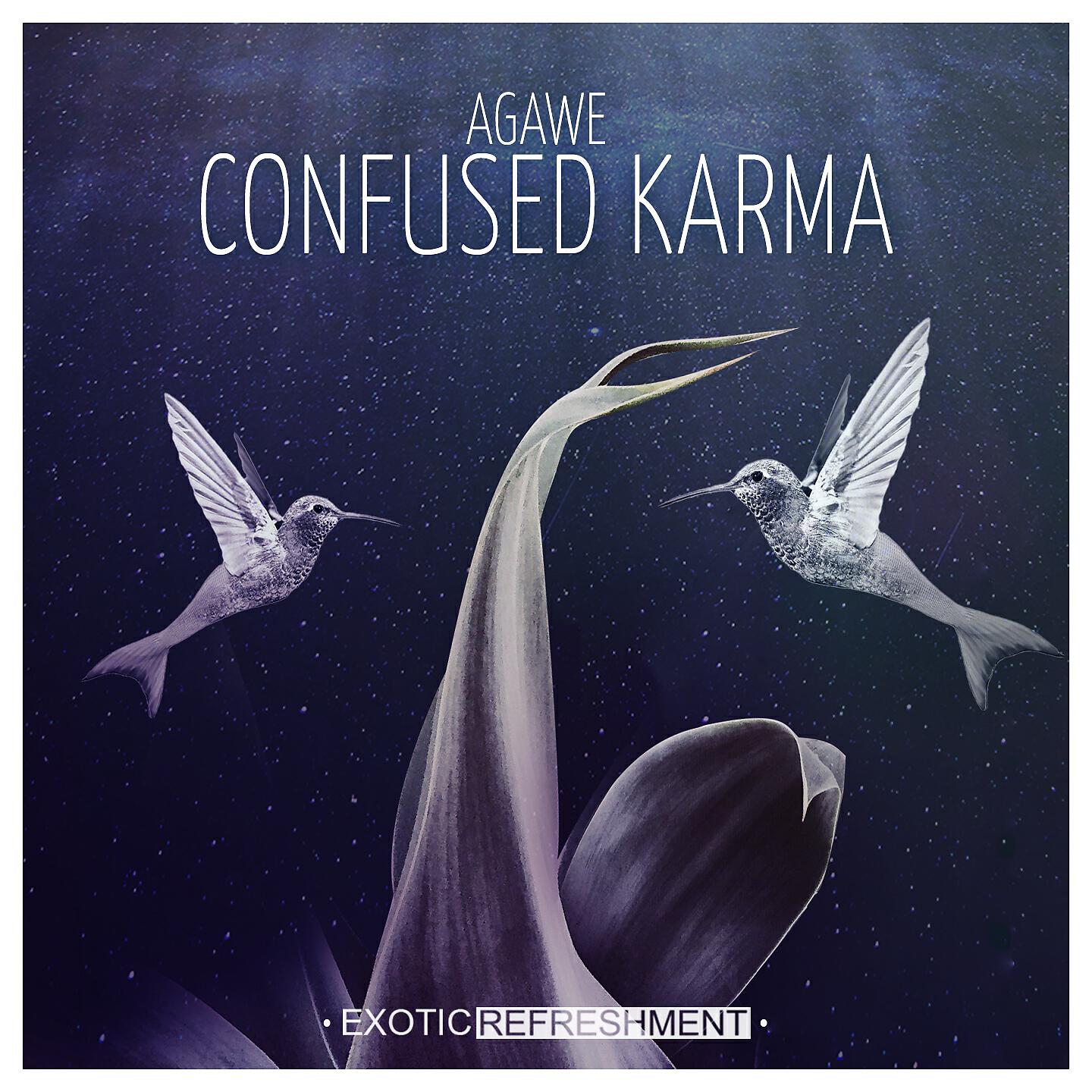 Релиз Confused Karma