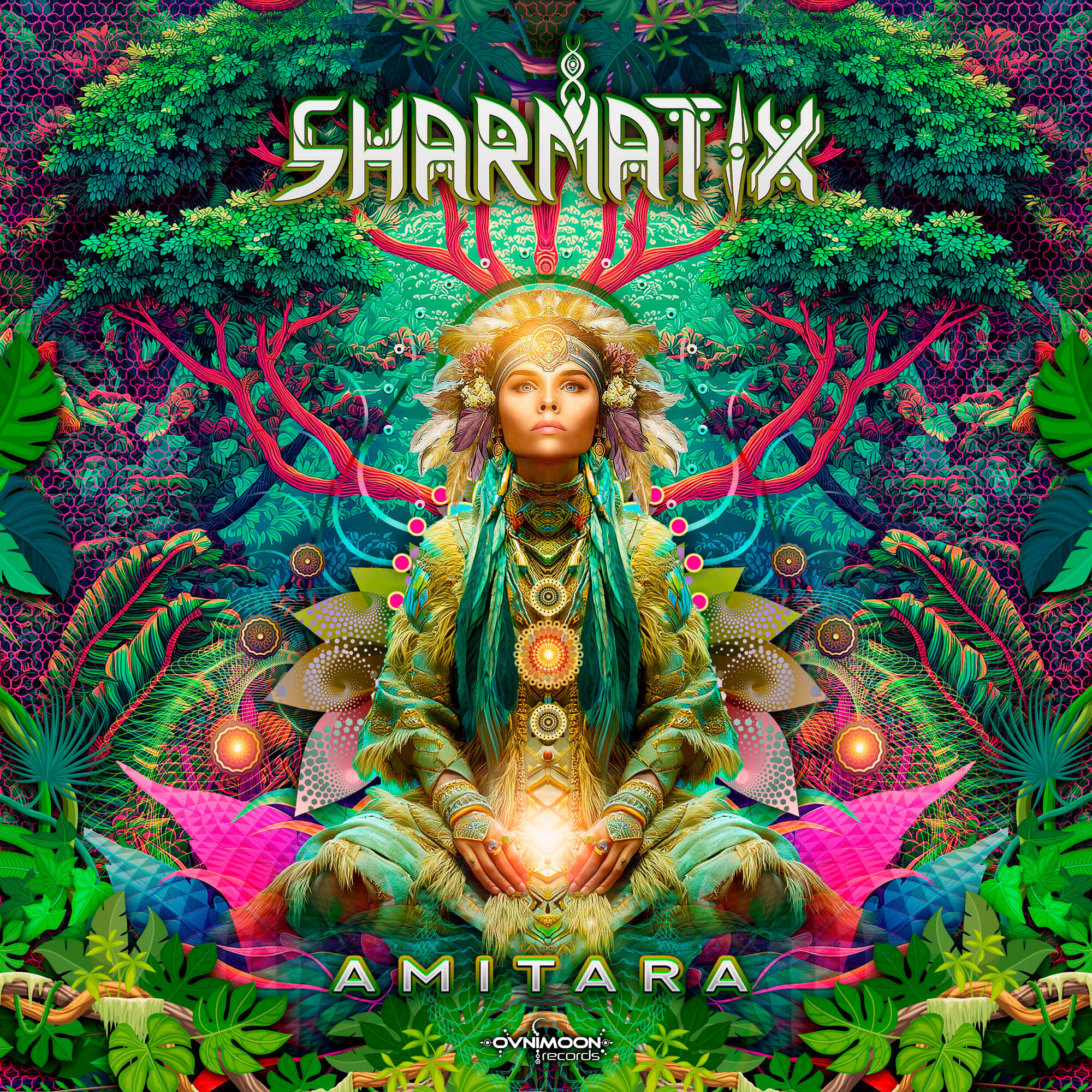 Релиз Amitara