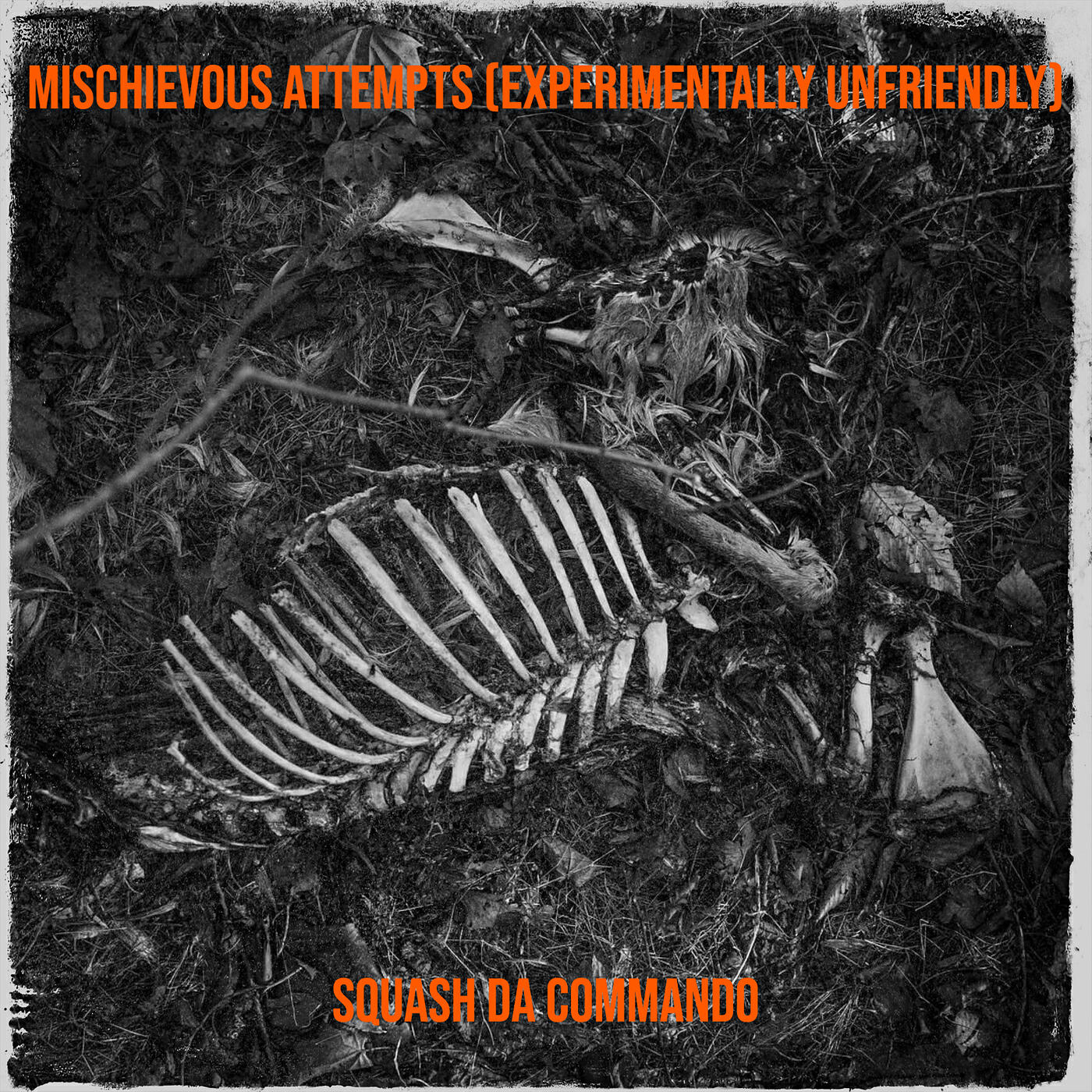 Релиз Mischievous Attempts (Experimentally Unfriendly)