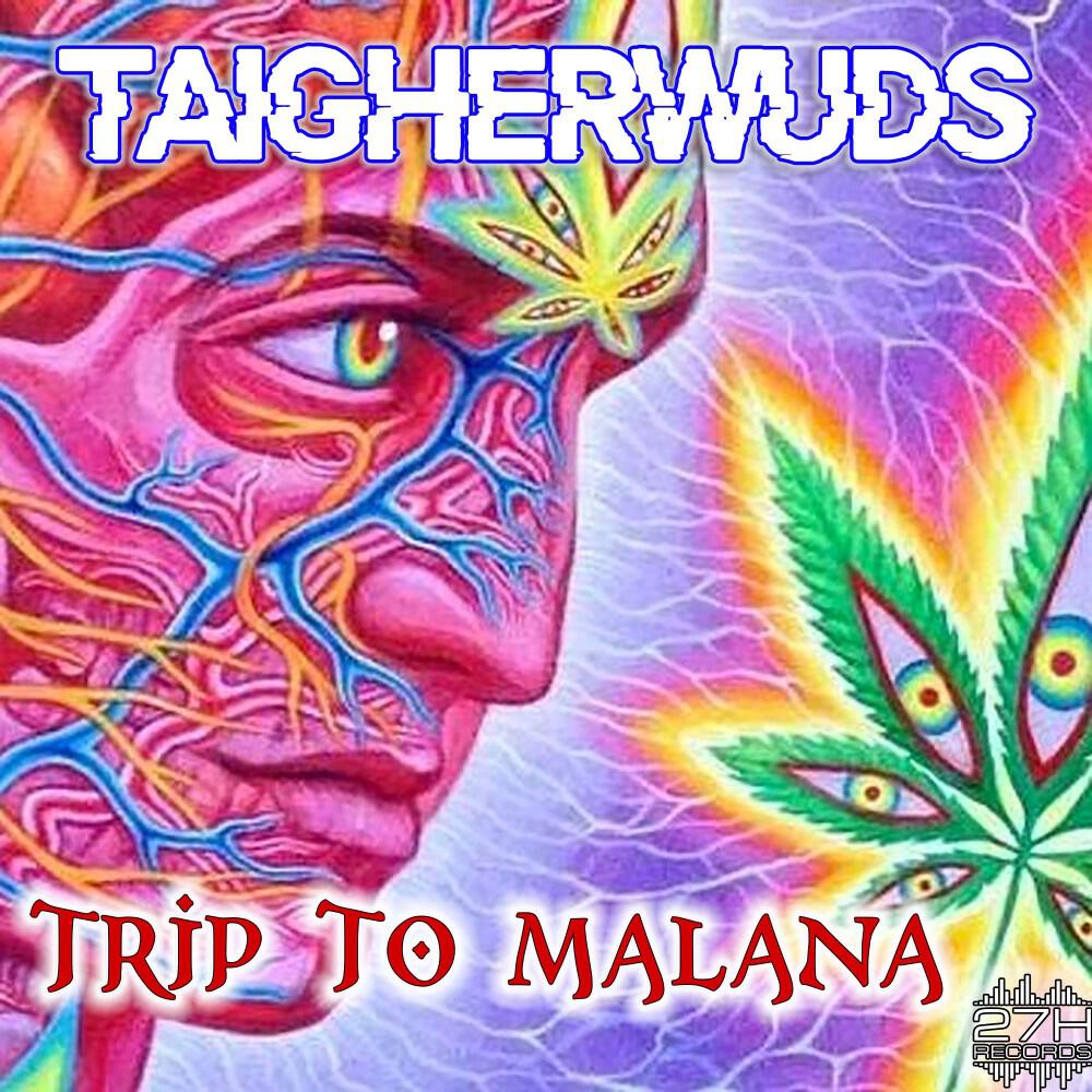 Релиз Trip to Malana