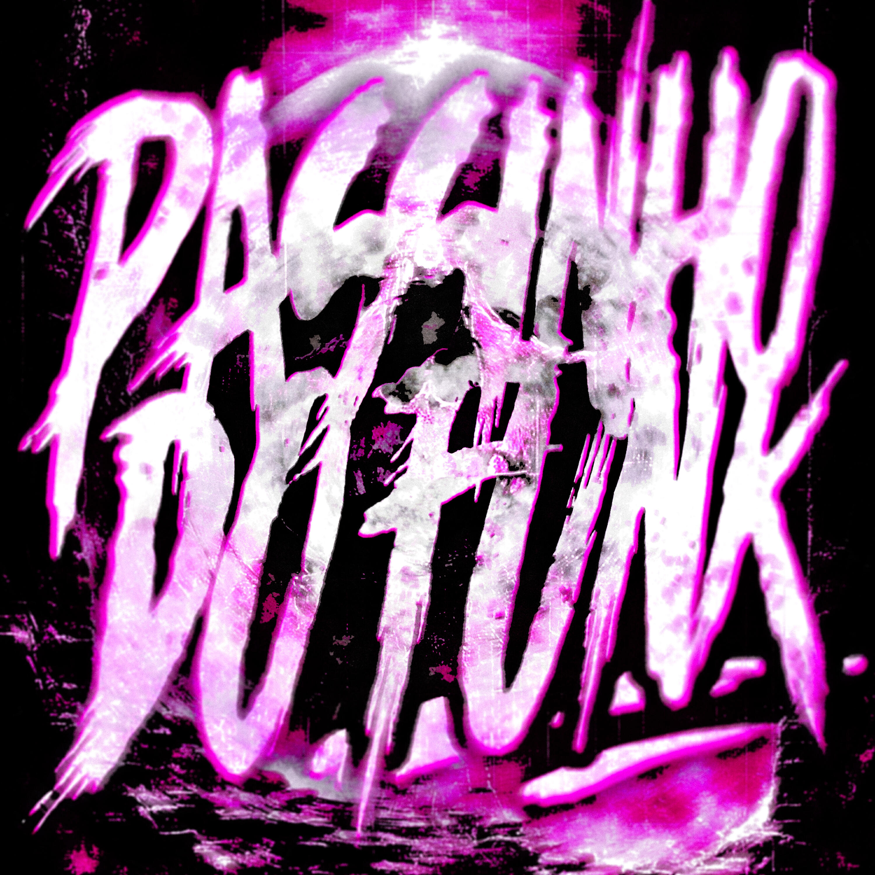 Постер альбома Passinho do Funk