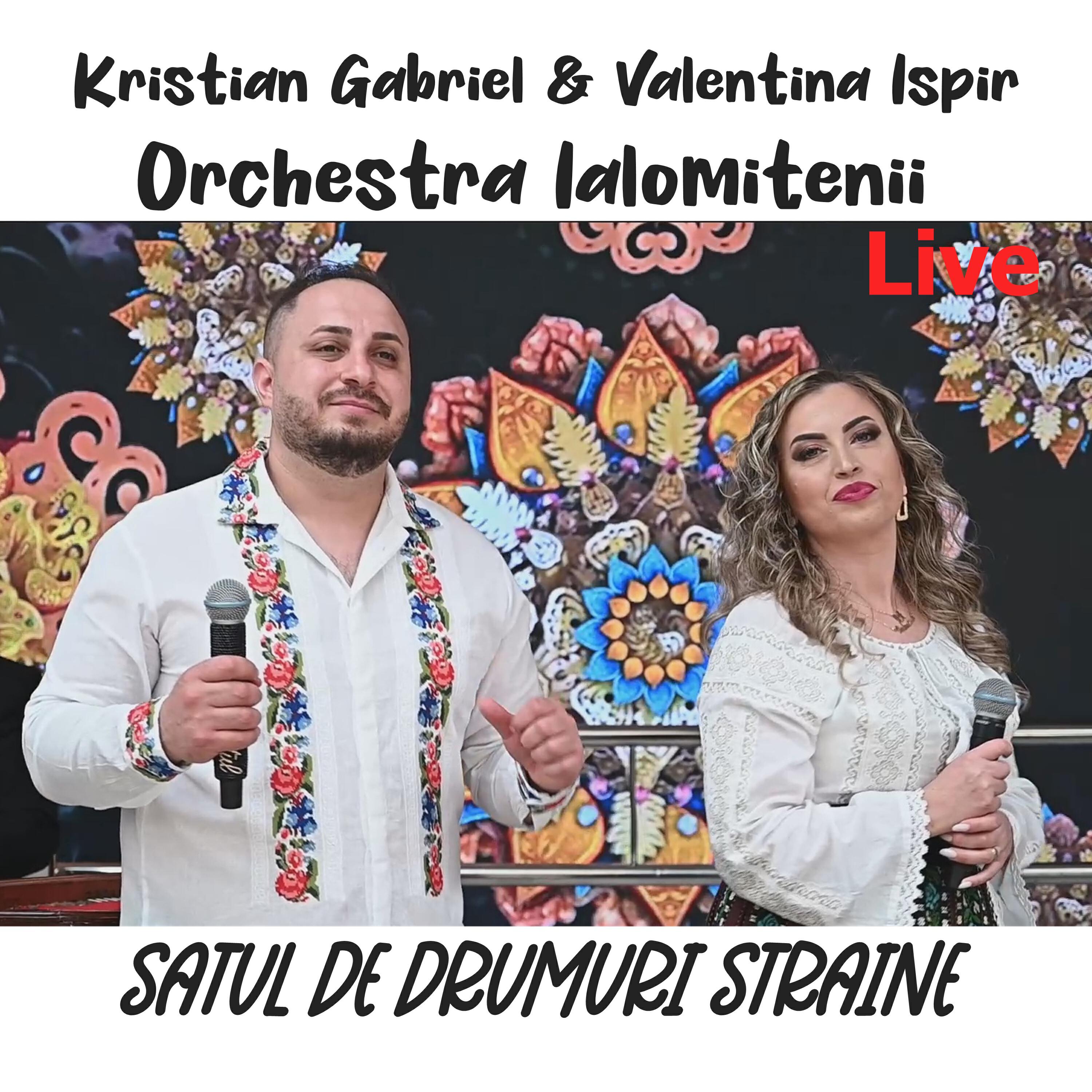 Релиз Satul de drumuri straine