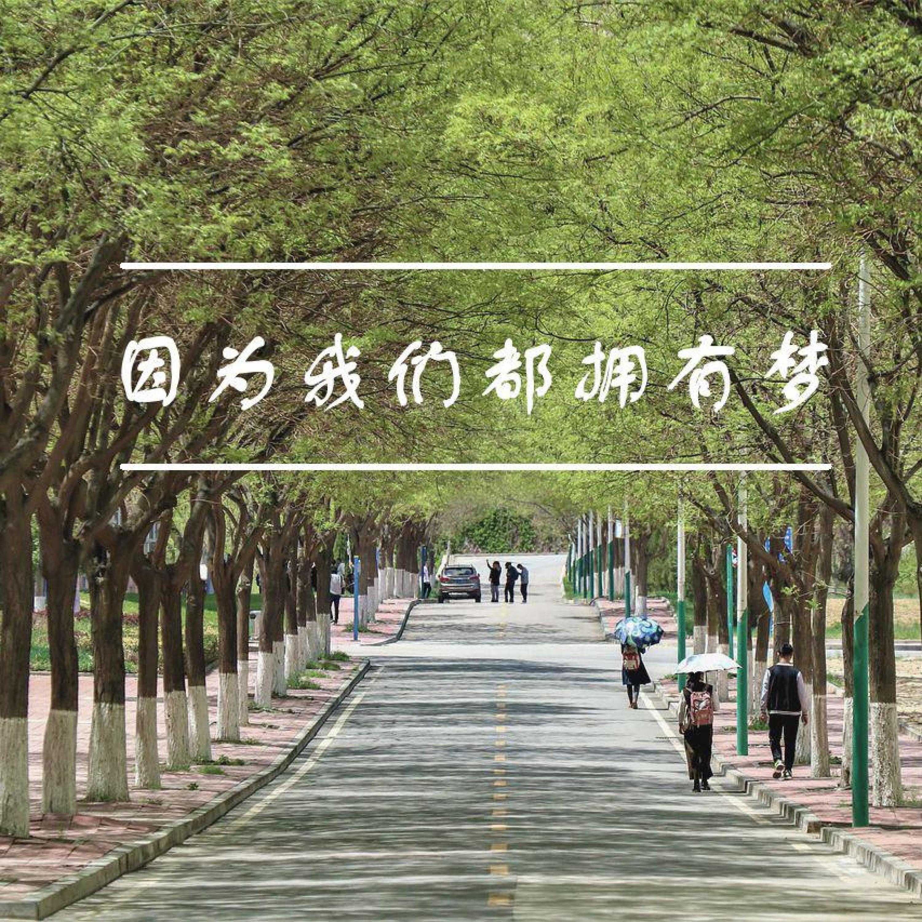 Релиз 因为我们都拥有梦——南开大学爱乐音乐协会2024五四献礼