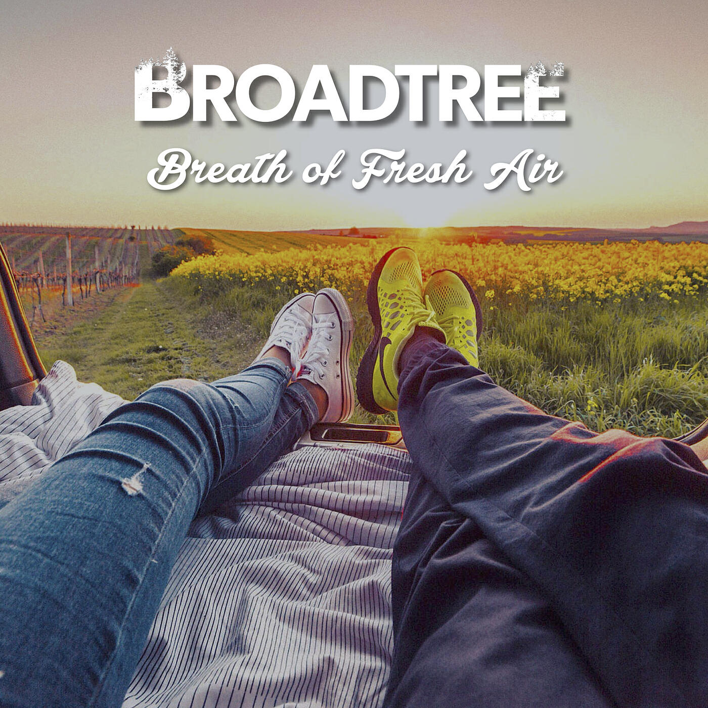 Broadtree