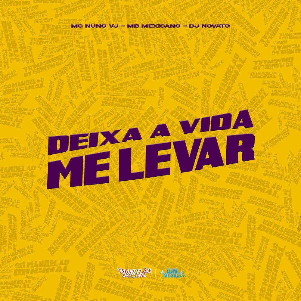 Релиз Deixa a Vida Me Levar
