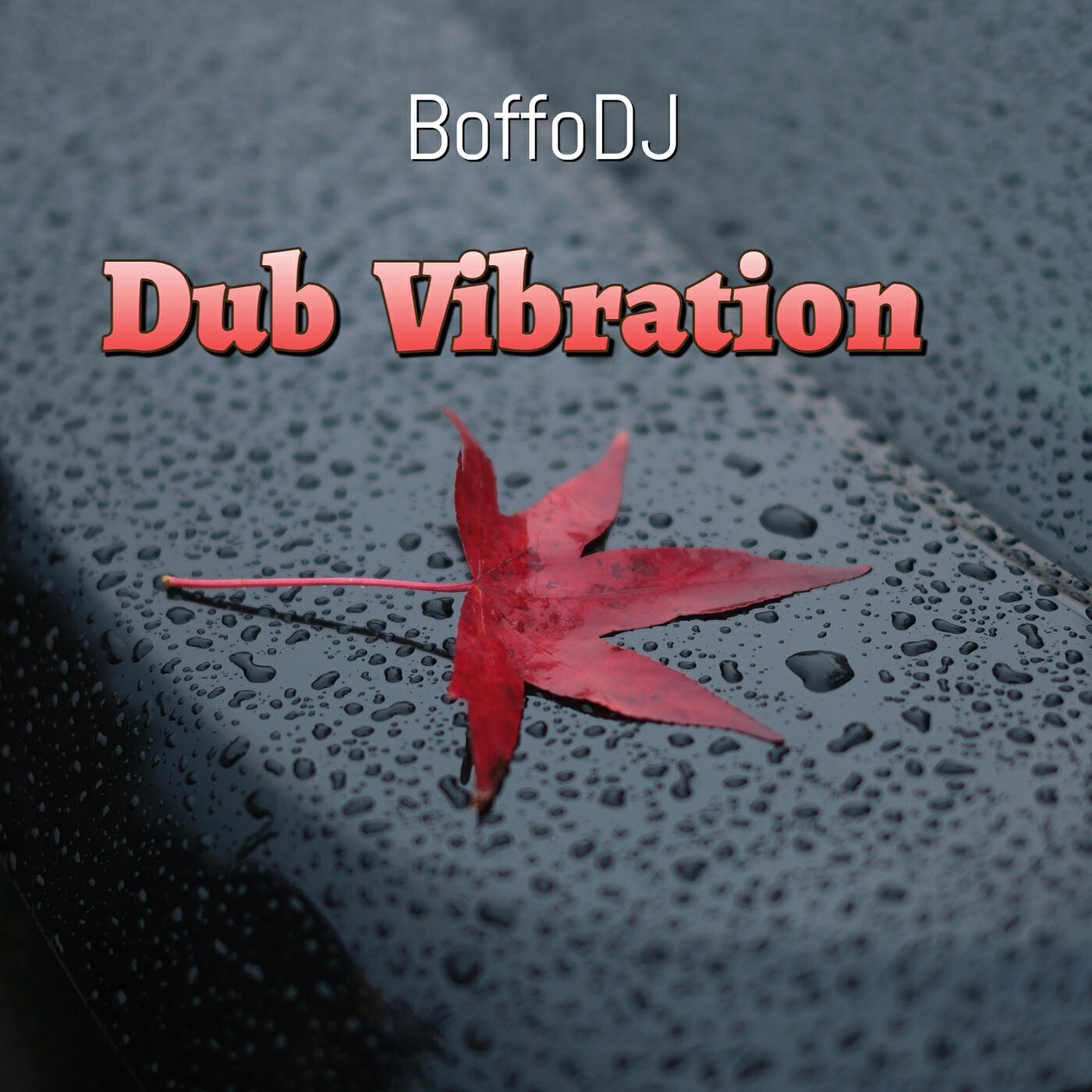 Релиз Dub Vibration