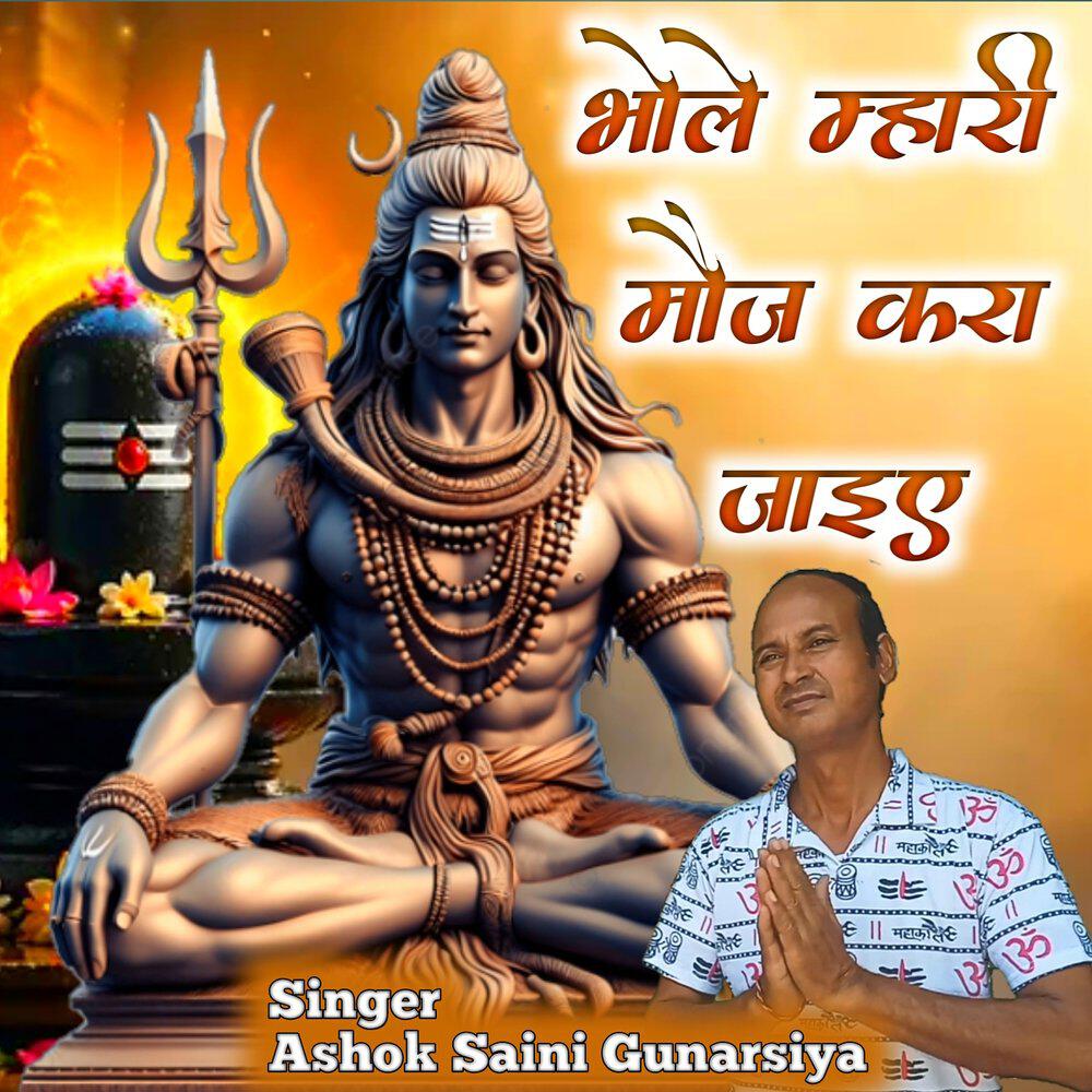 Ashok Saini Gunarsiya