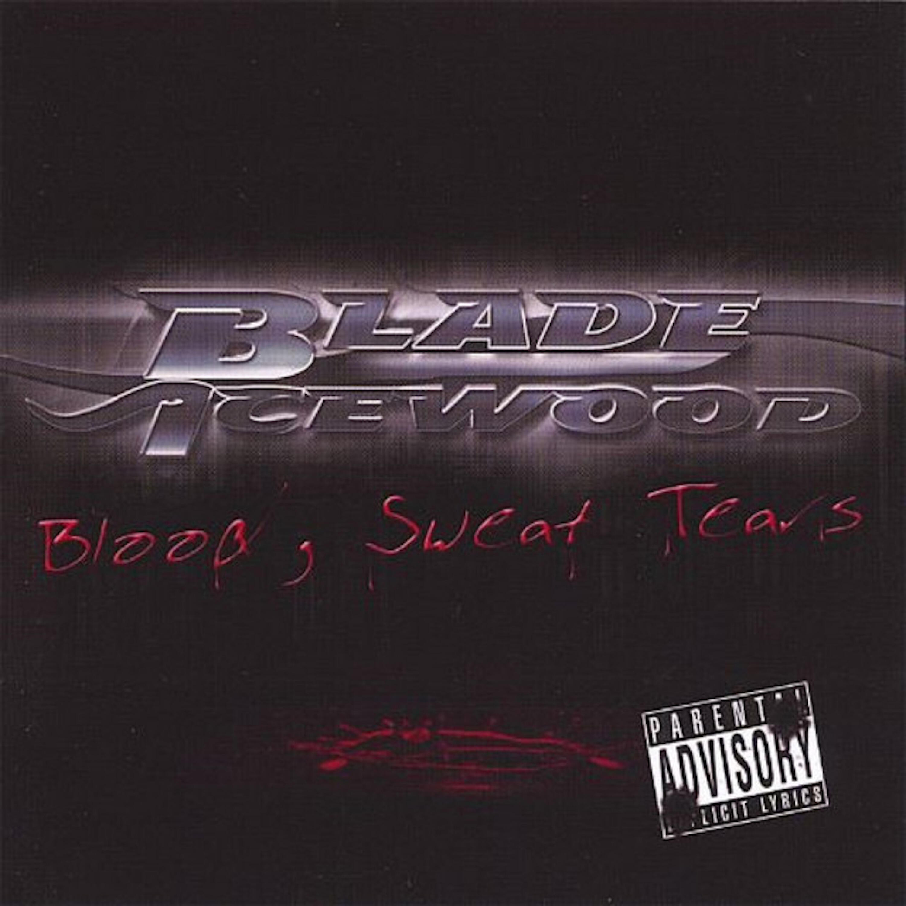 Релиз Blood Sweat and Tears