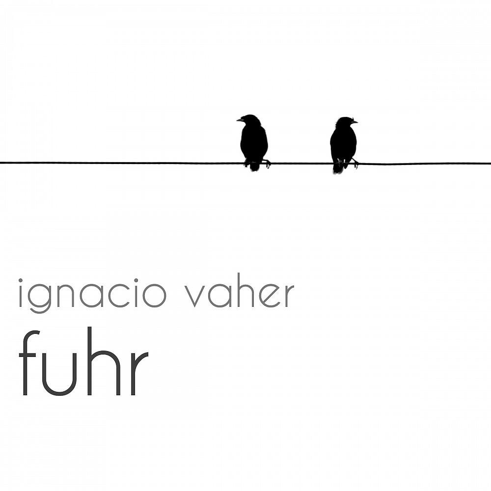 Релиз Fuhr