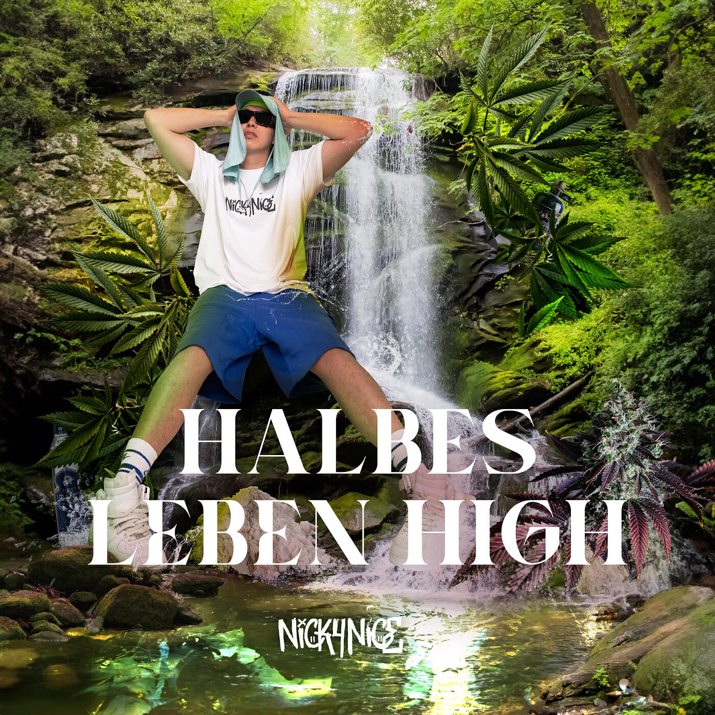 Релиз Halbes Leben High