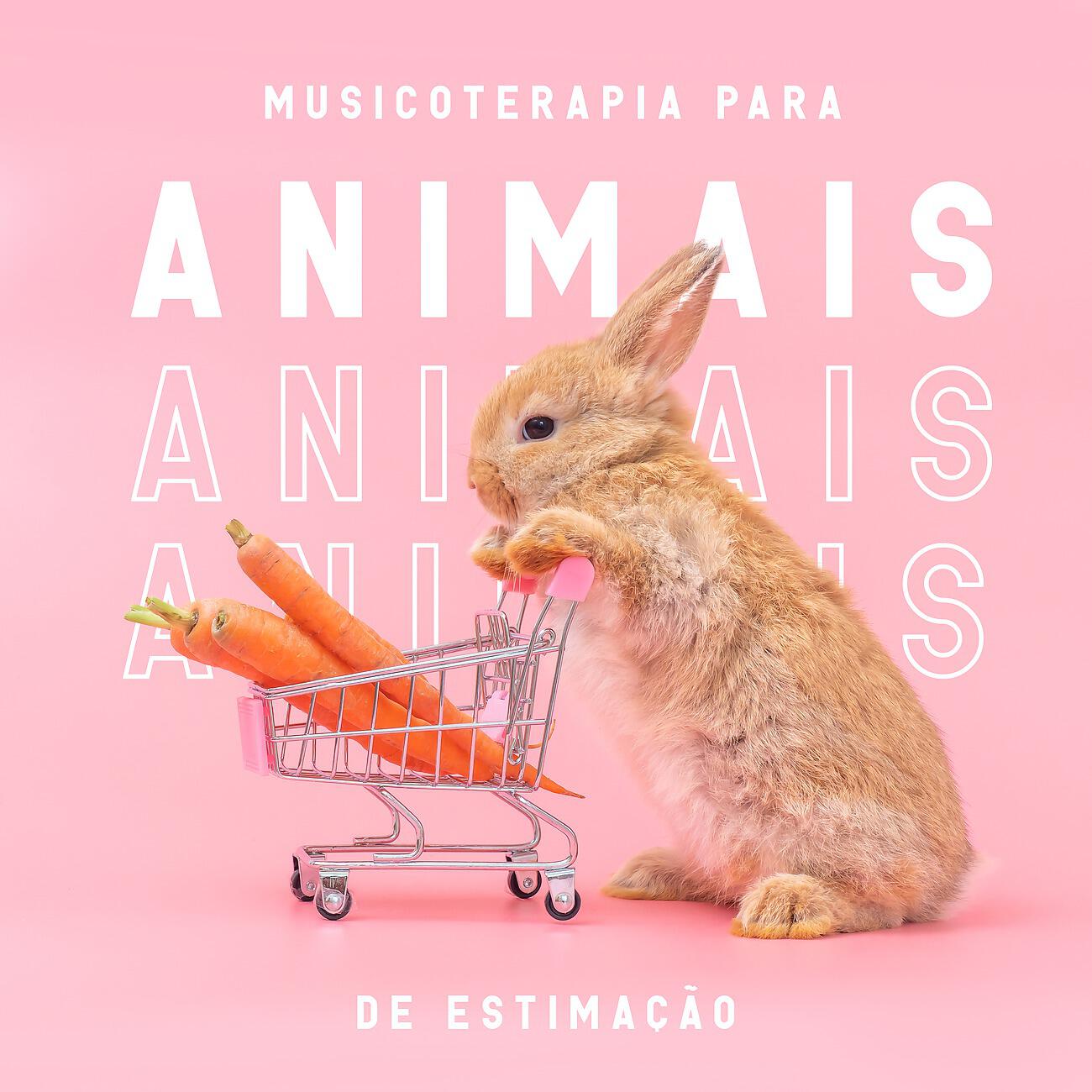 Релиз Musicoterapia para animais de estimação - Relaxamento profundo e tempo para dormir