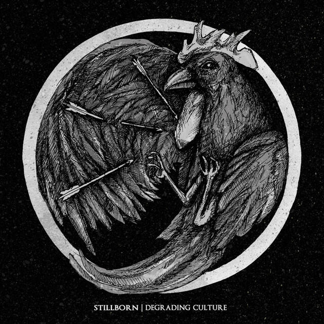 Релиз Degrading Culture
