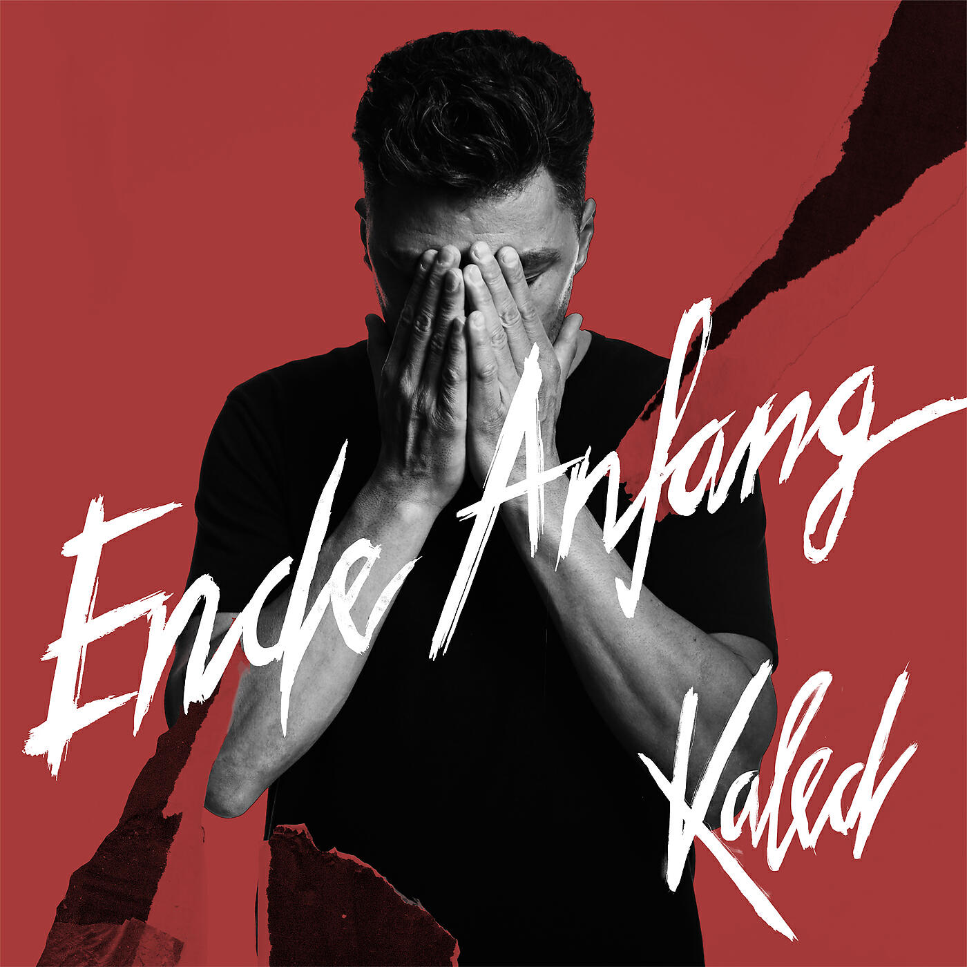 Релиз Ende Anfang