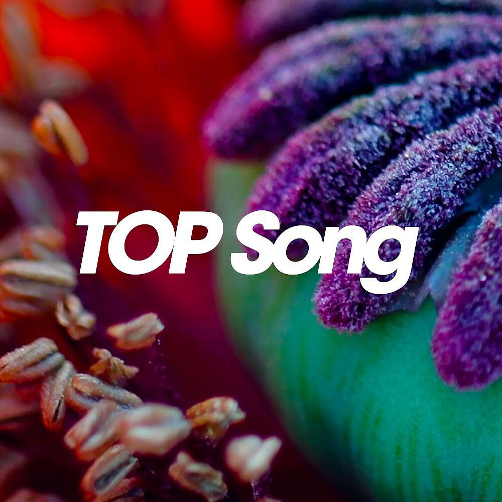 Релиз Top Song