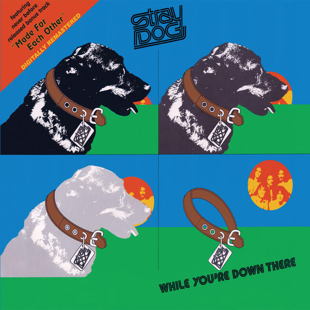 Релиз While You're Down There