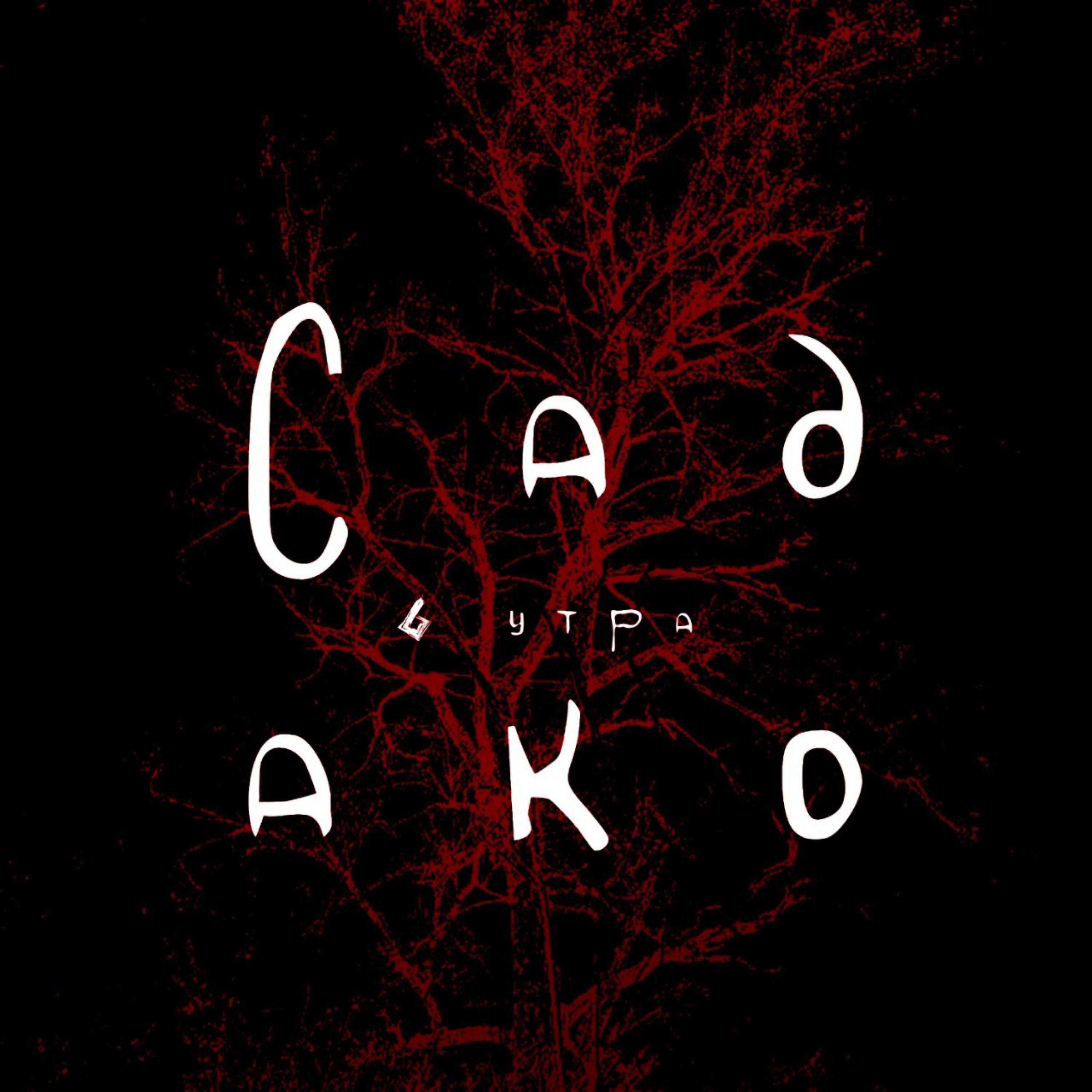 Релиз Садако