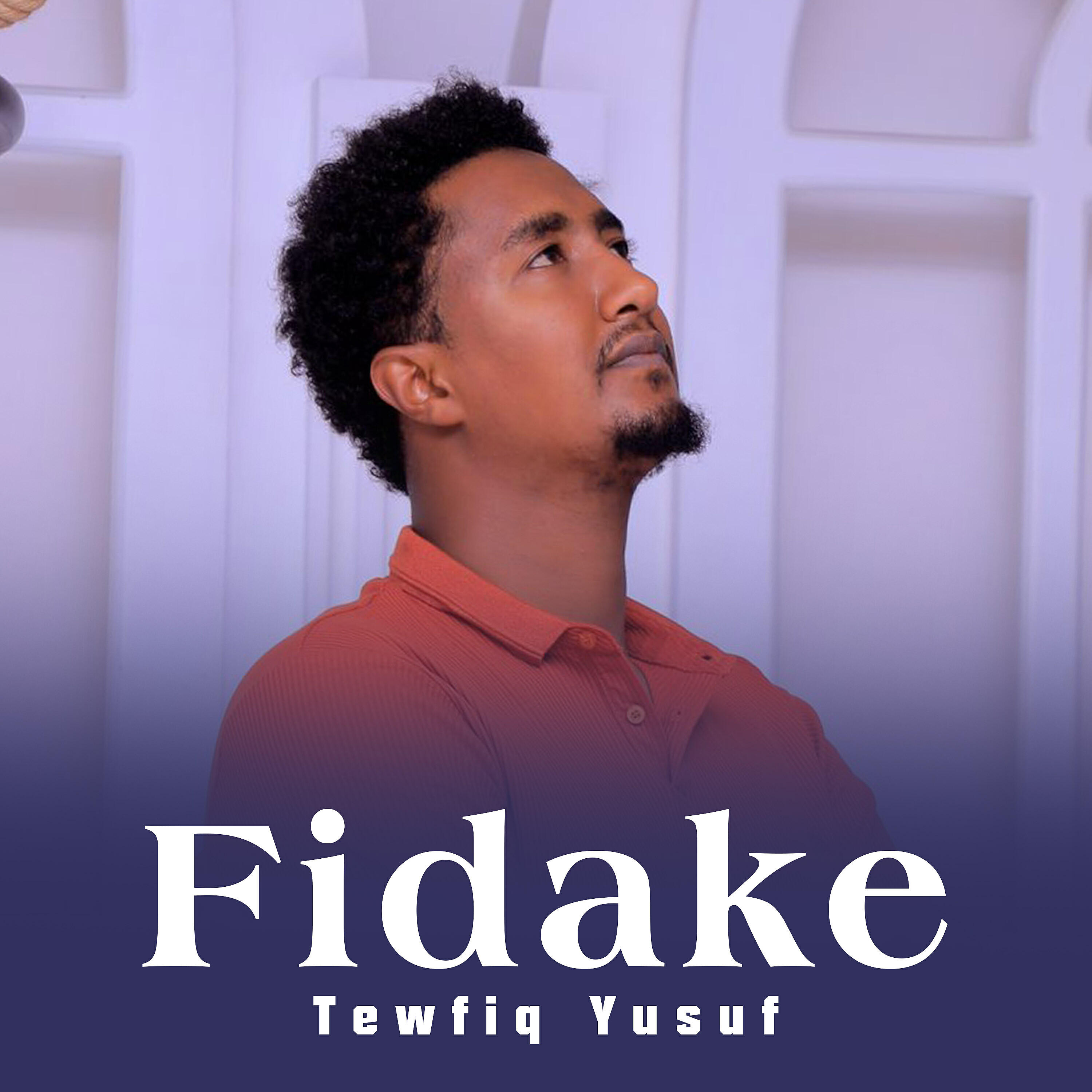 Релиз Fidake