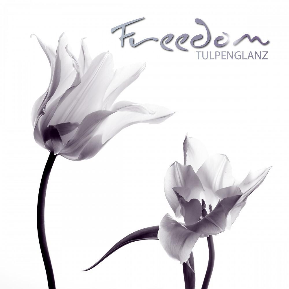 Релиз Freedom