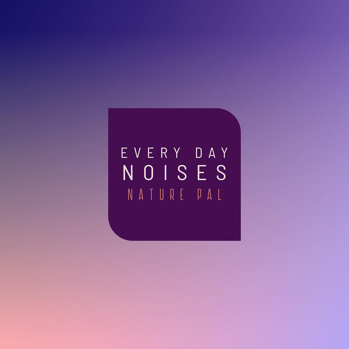 Постер альбома Every Day Noises