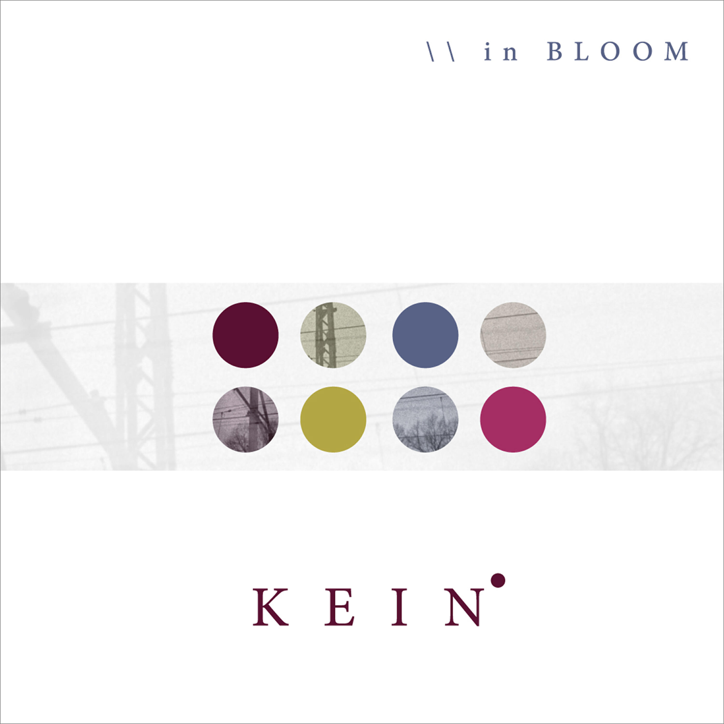 Релиз In Bloom