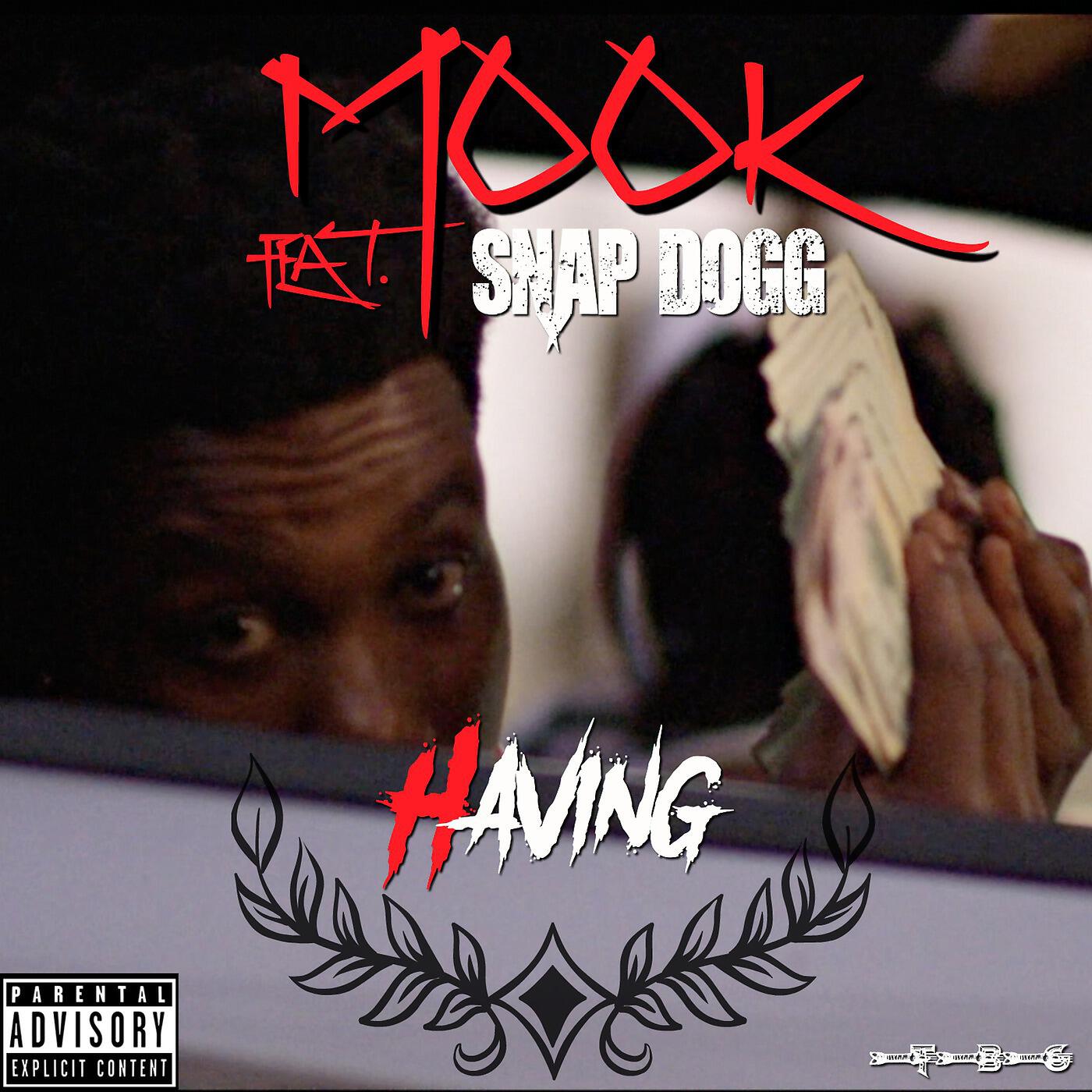Релиз Having (feat. Snap Dogg)