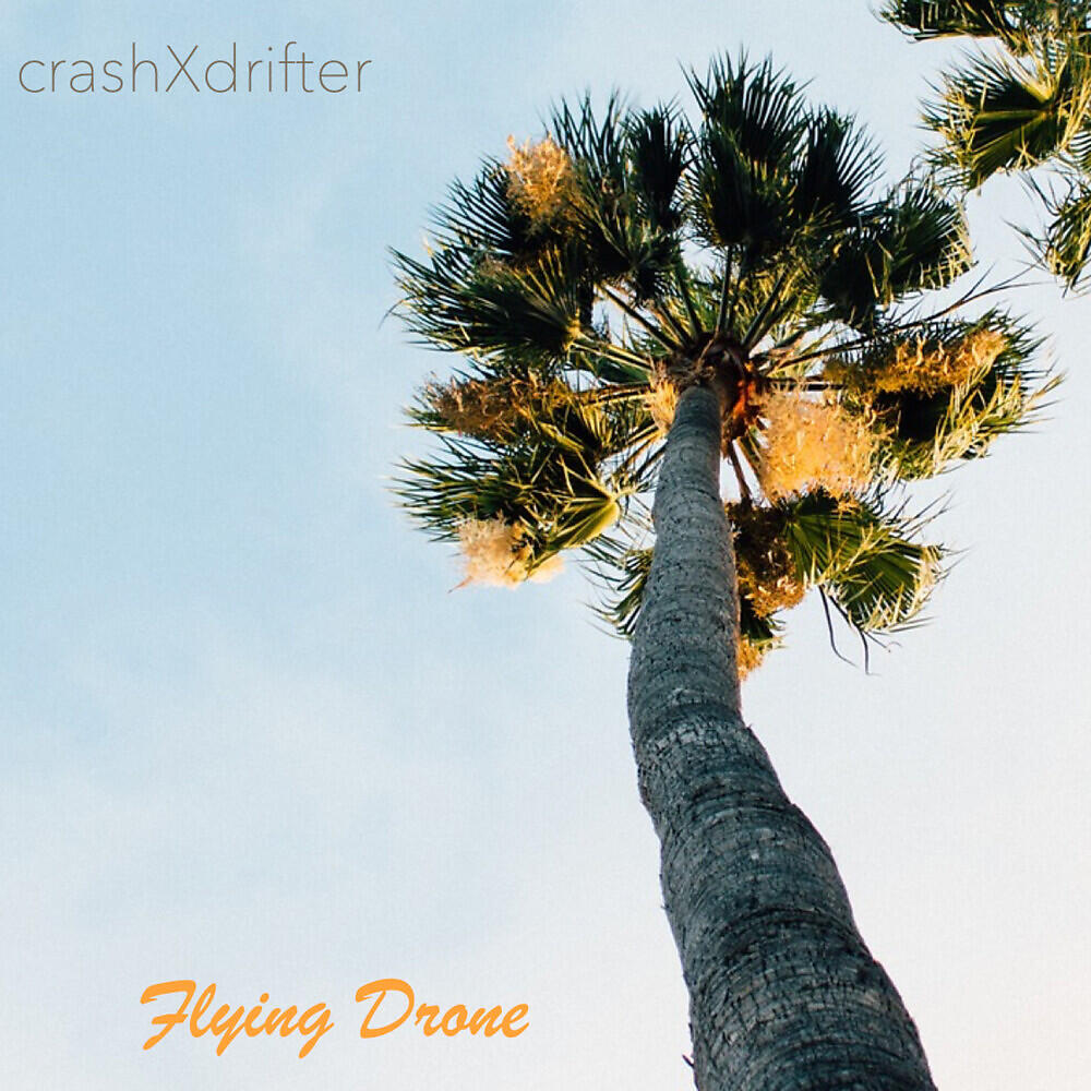 crashXdrifter