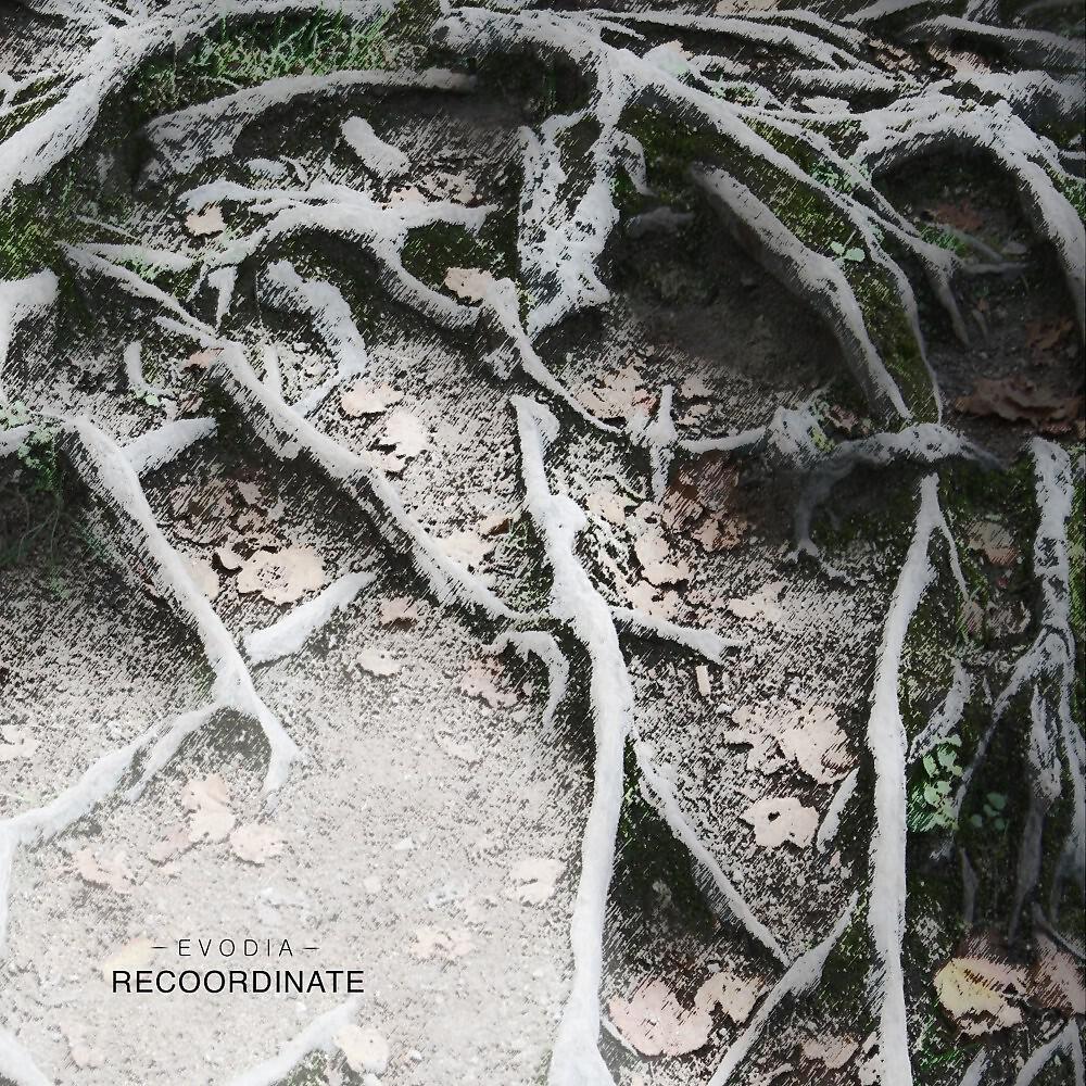 Релиз Recoordinate