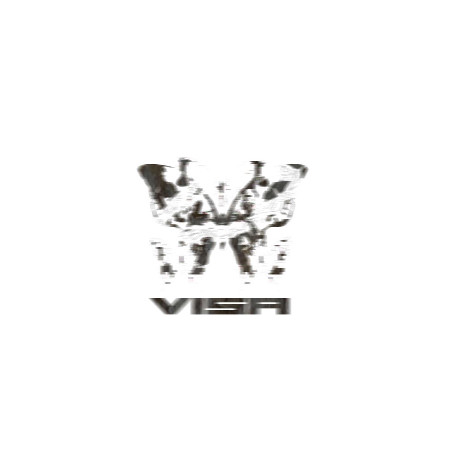 Релиз VISA