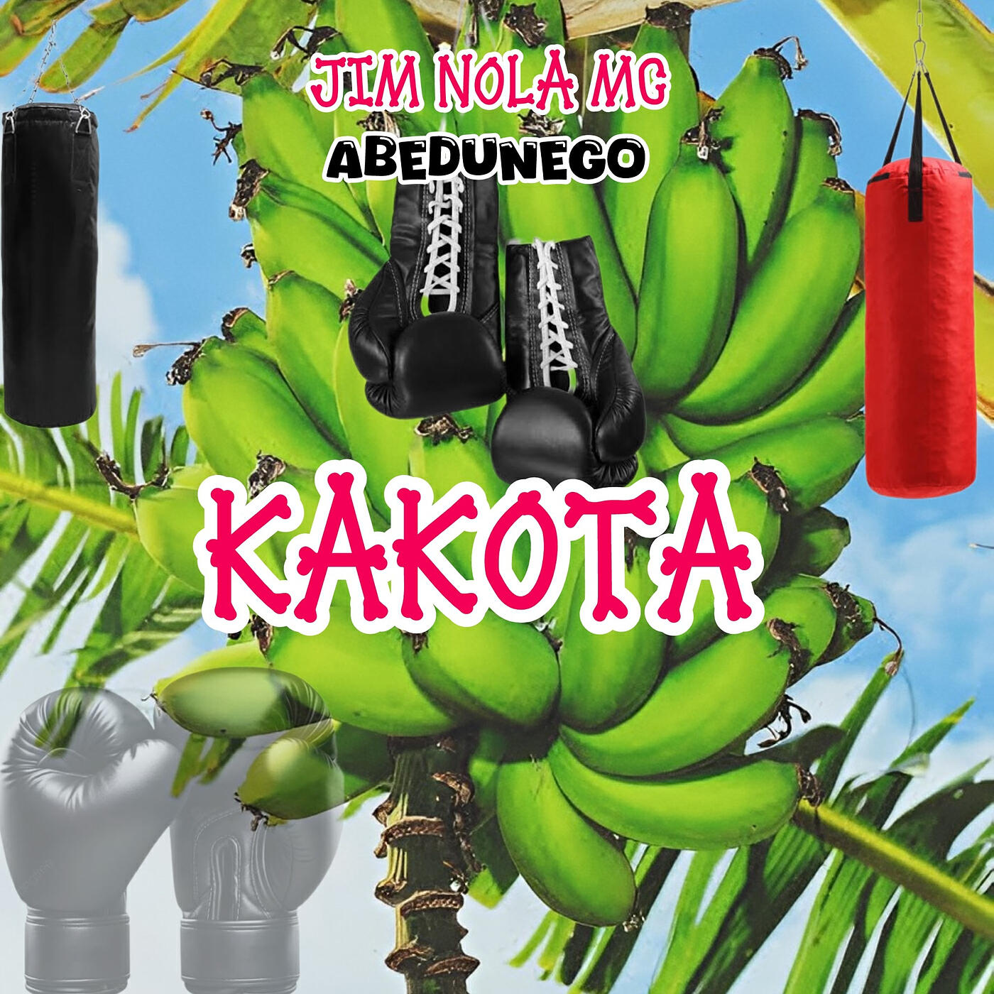 Релиз Kakota