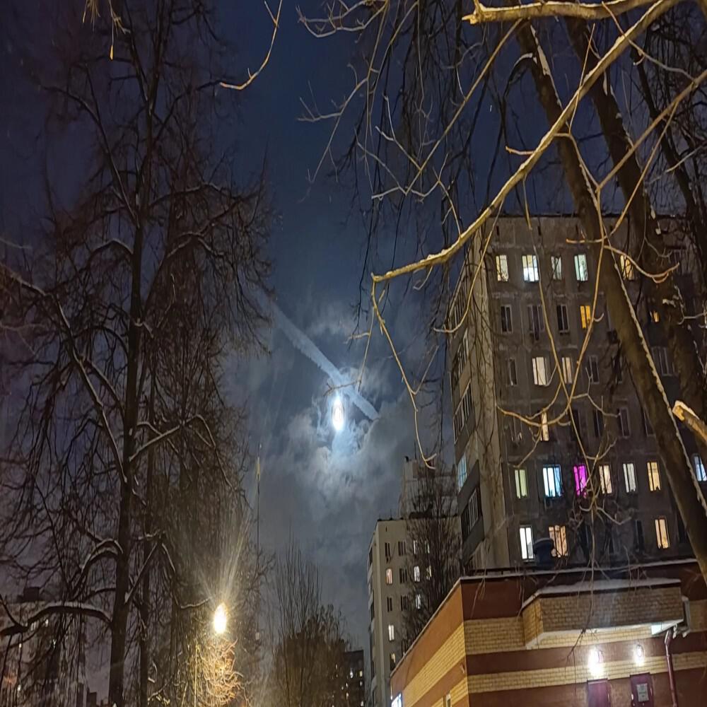 Релиз Бешенные псы