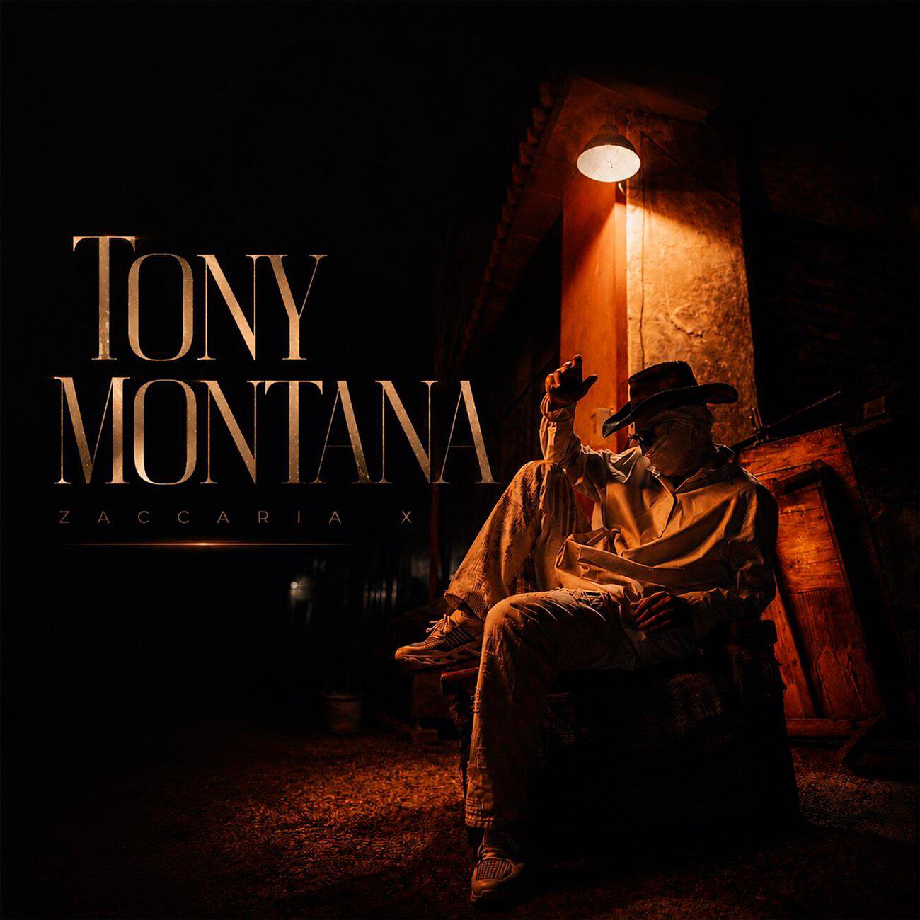 Релиз Tony Montana