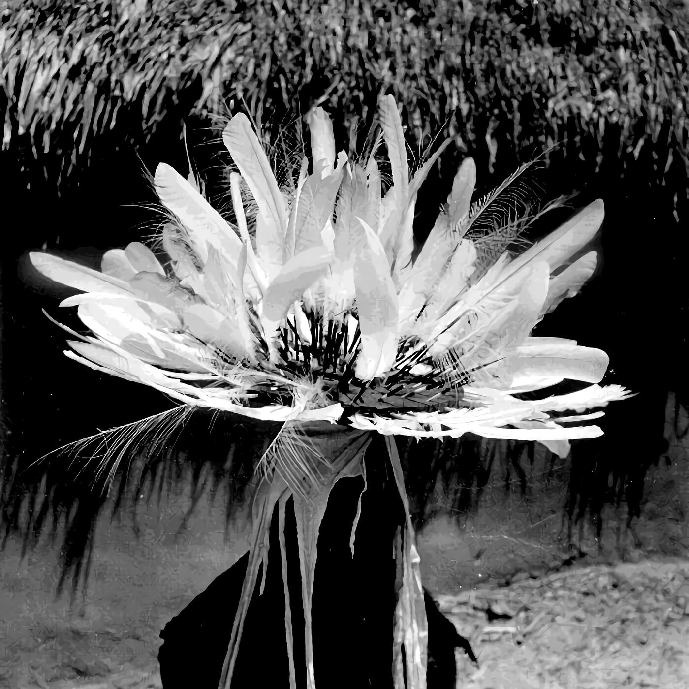 Релиз Israfil 'Angels Trumpet'