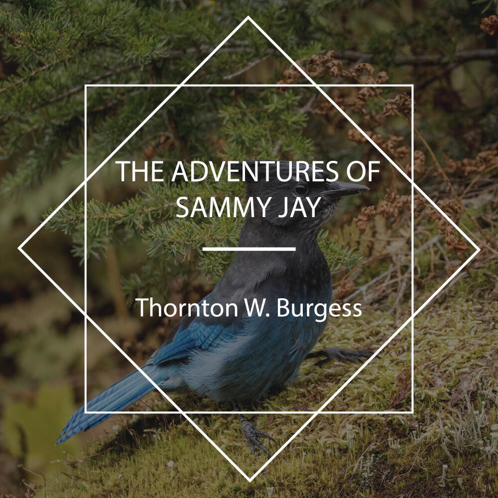 Релиз The Adventures of Sammy Jay