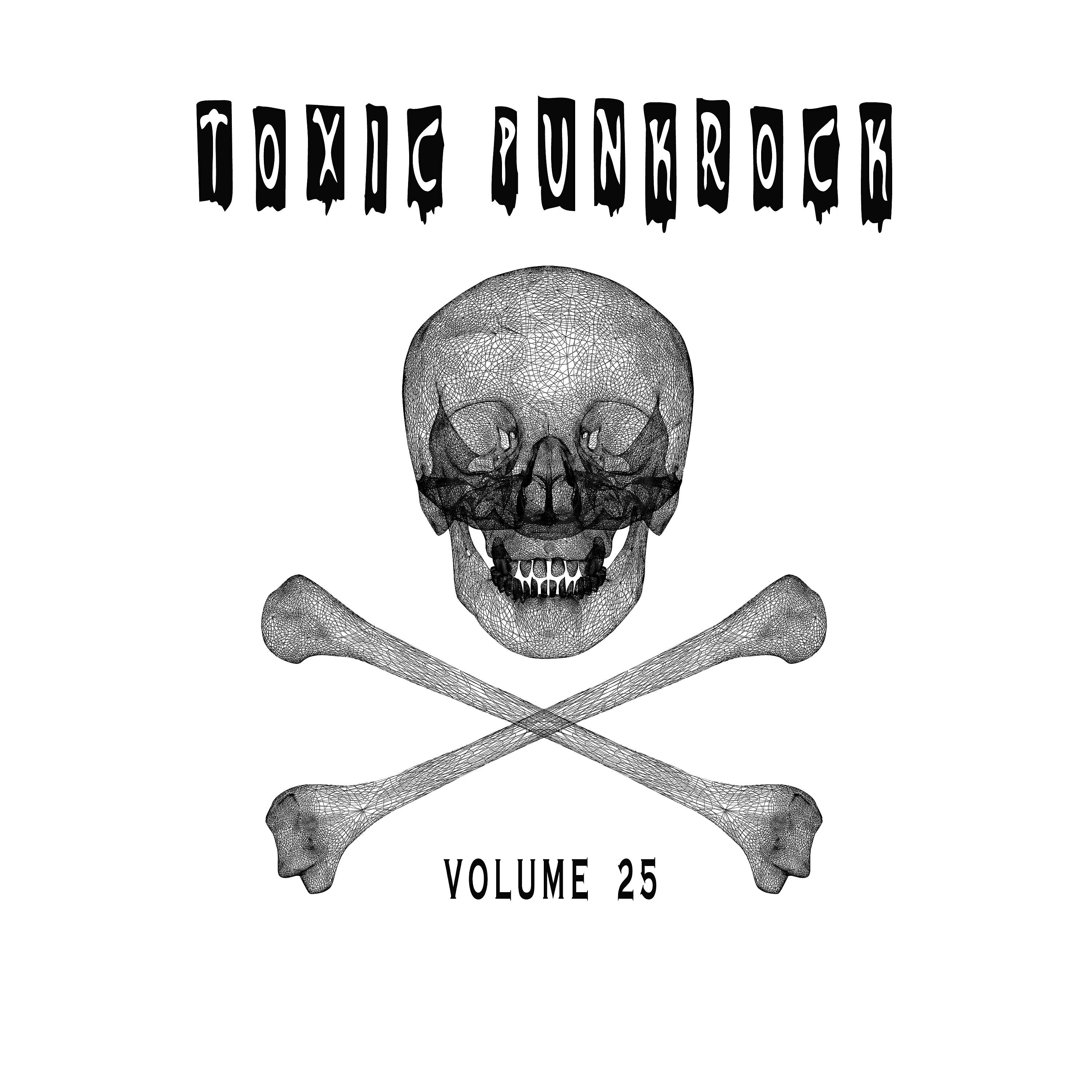 Релиз Toxic Punk Rock, Vol. 25