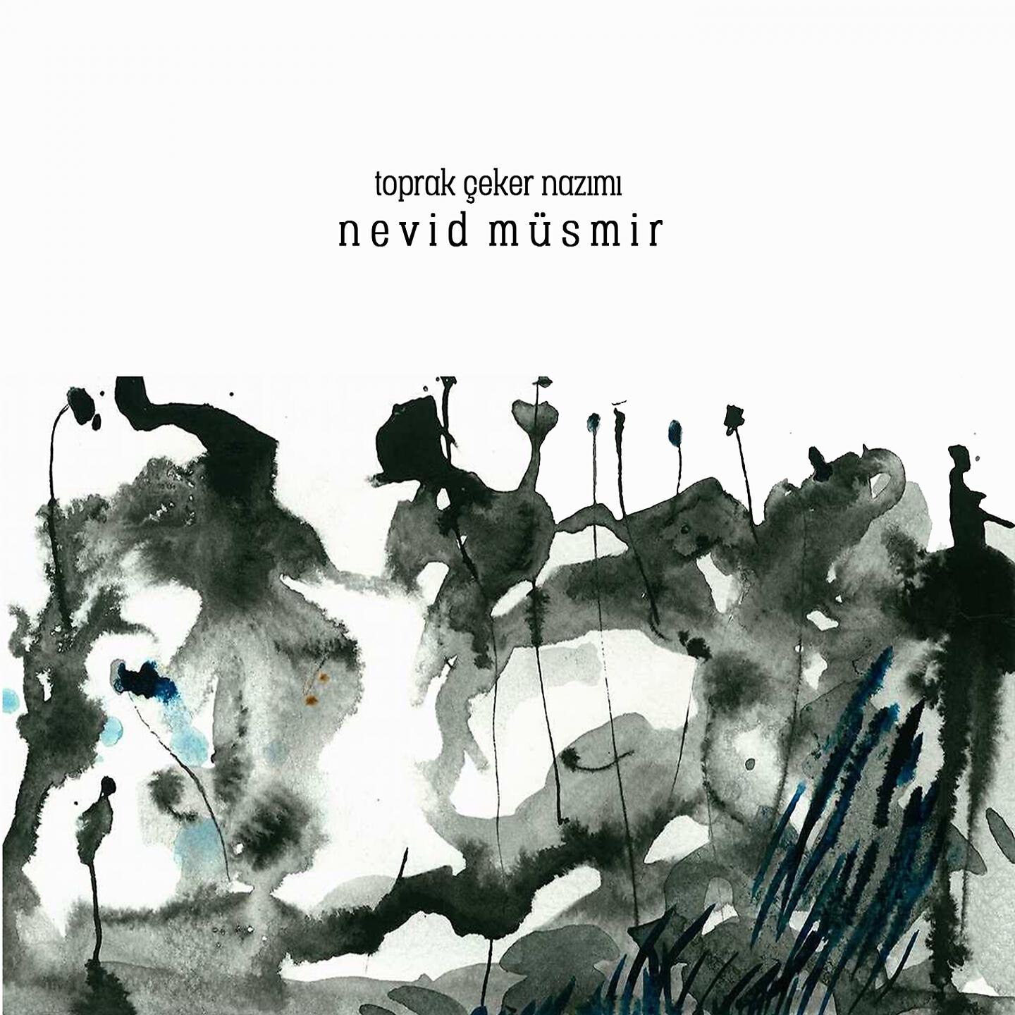 Nevid Musmir