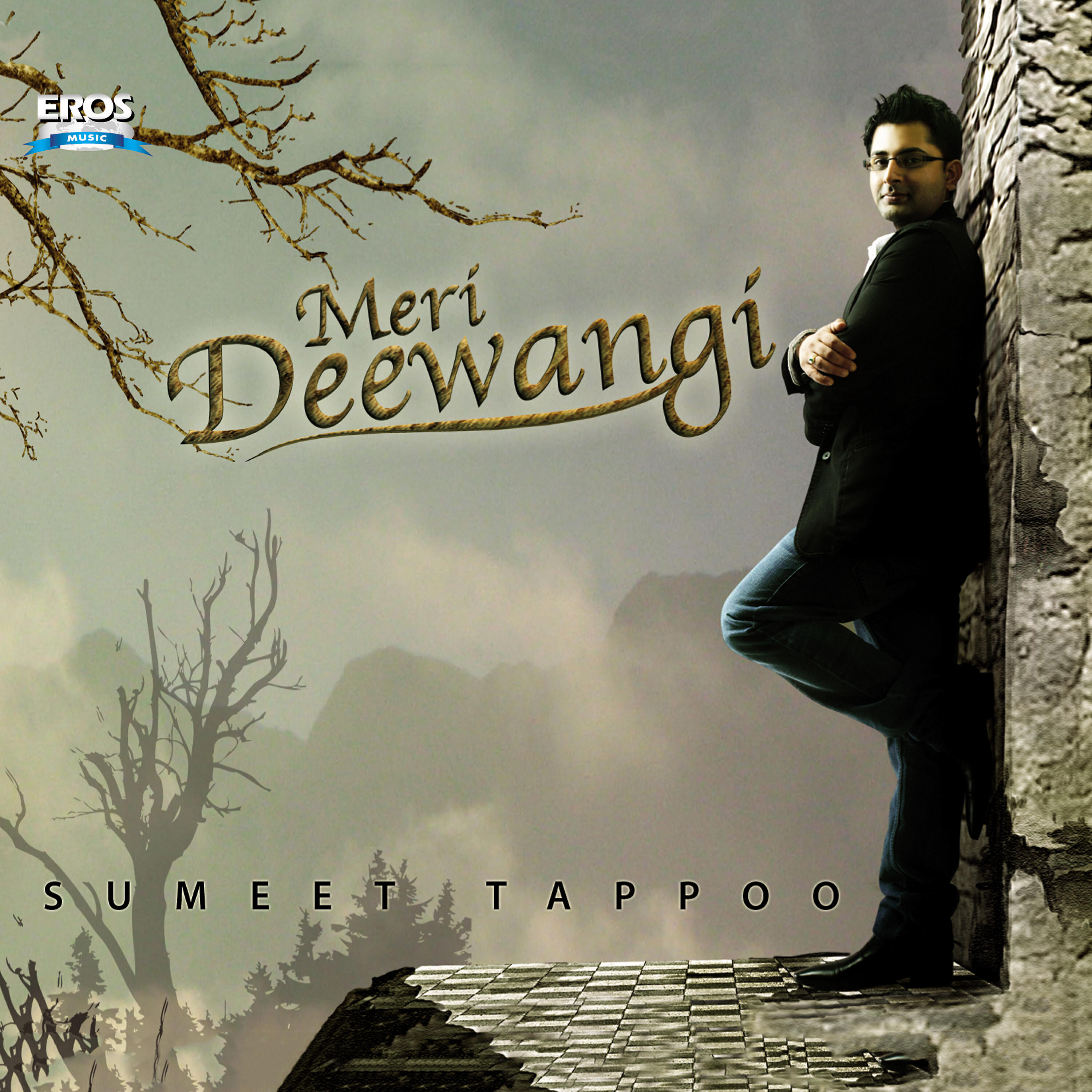 Релиз Meri Deewangi (Original Motion Picture Soundtrack)
