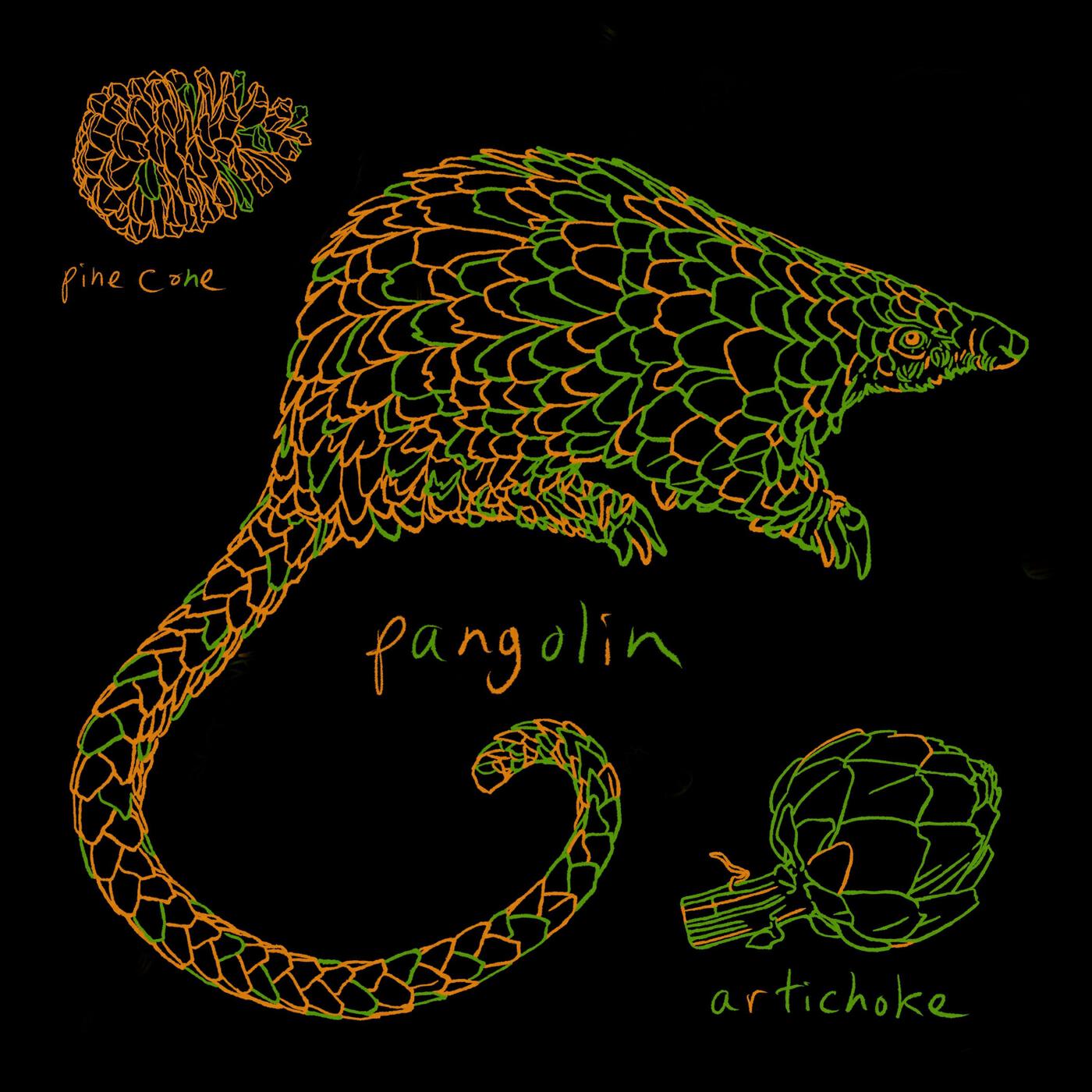 Релиз Pangolin