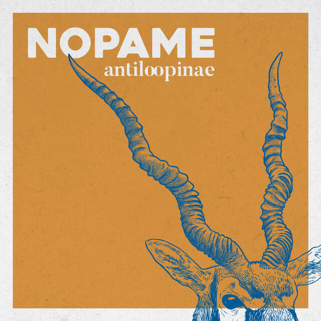 Nopame