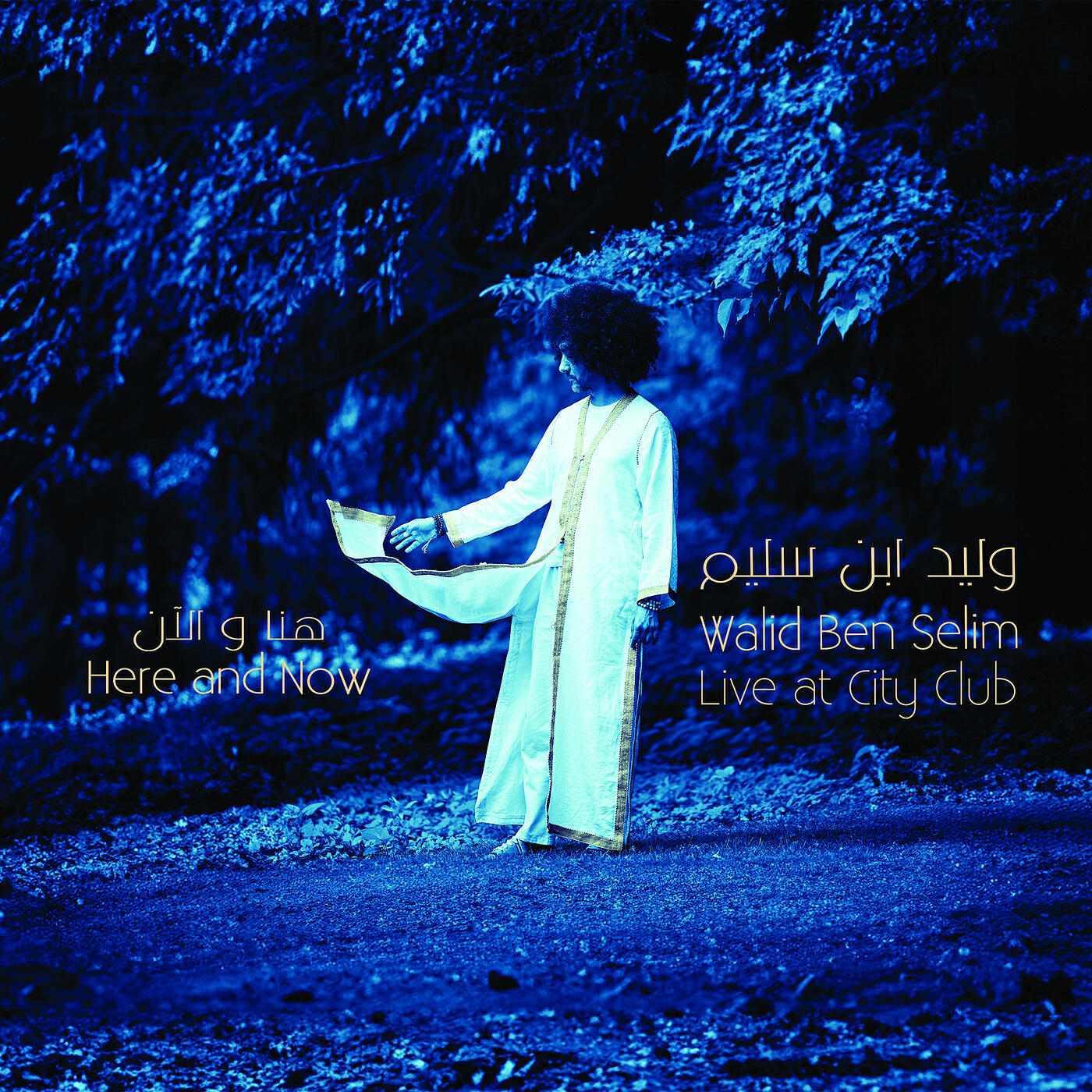 Walid Ben Selim