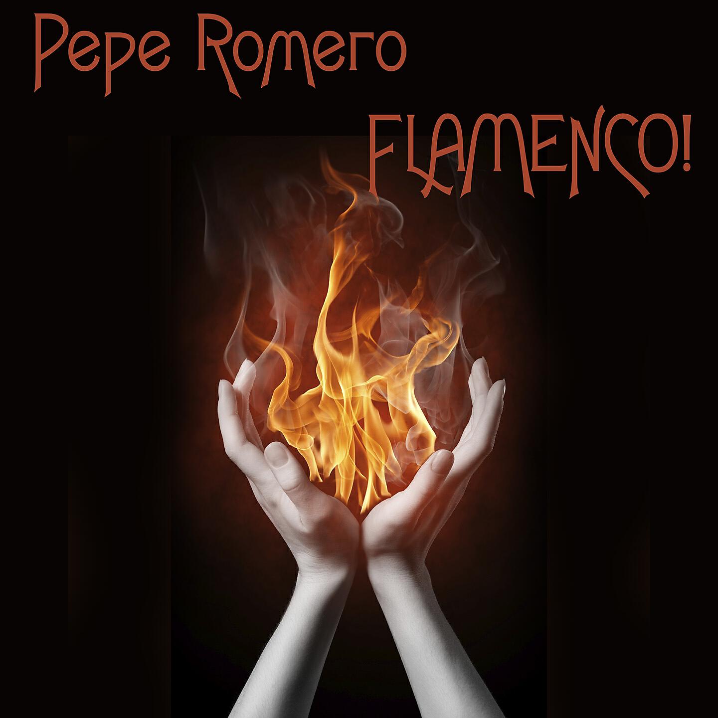 Постер альбома Flamenco!
