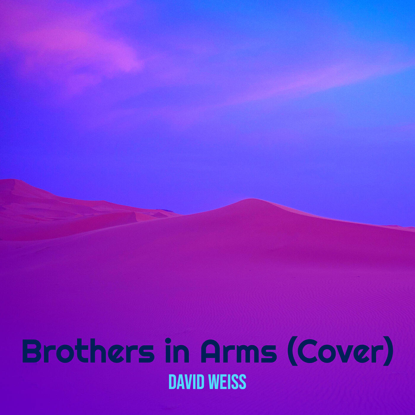 Релиз Brothers in Arms (Cover)