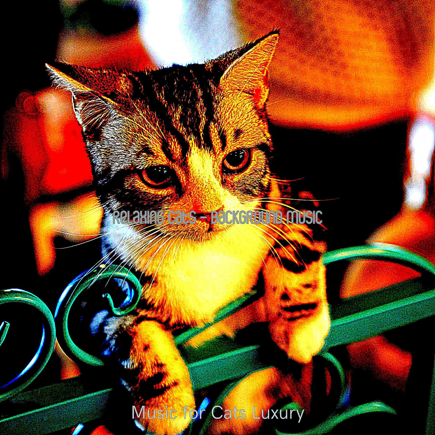 Постер альбома Relaxing Cats - Background Music