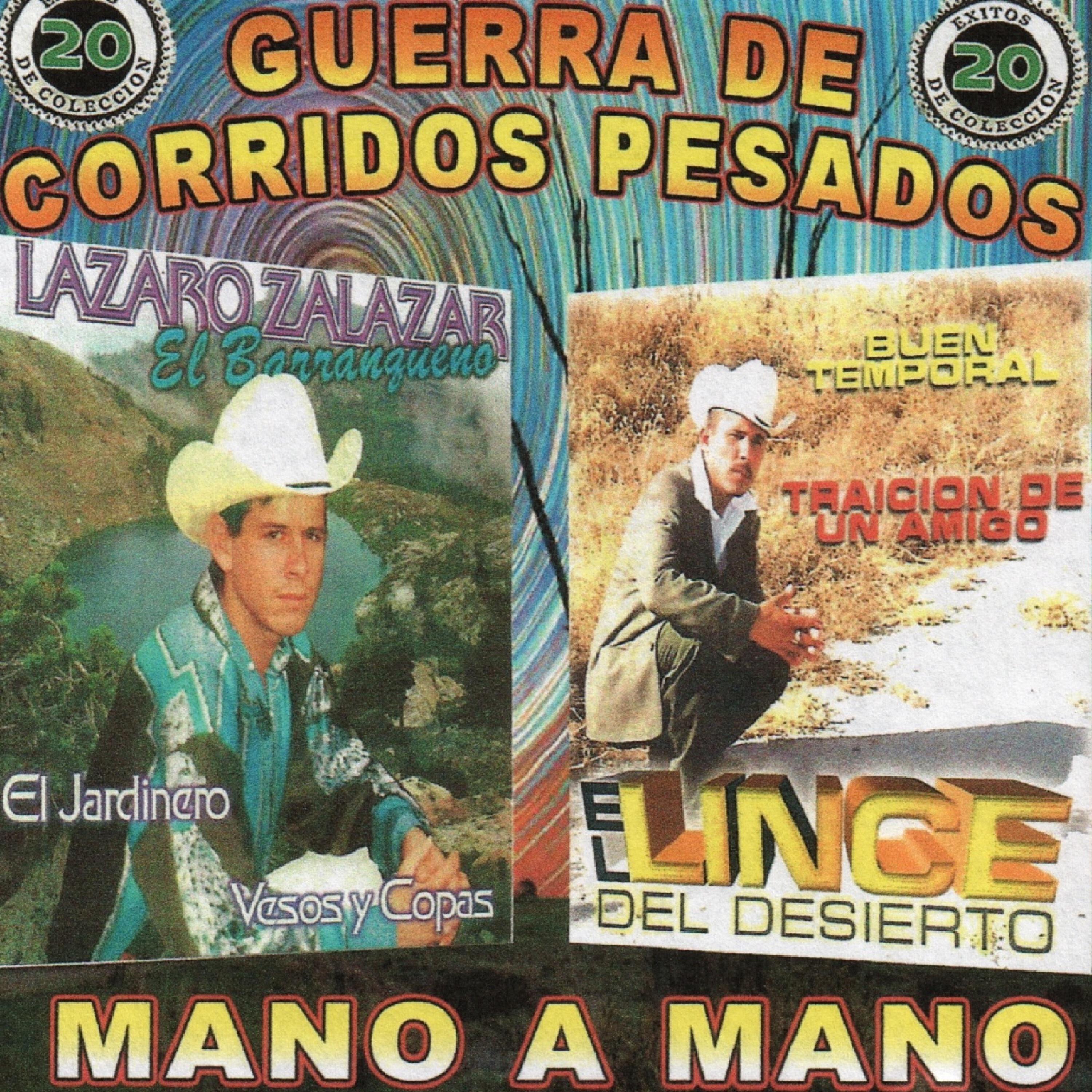 El Lince del Desierto