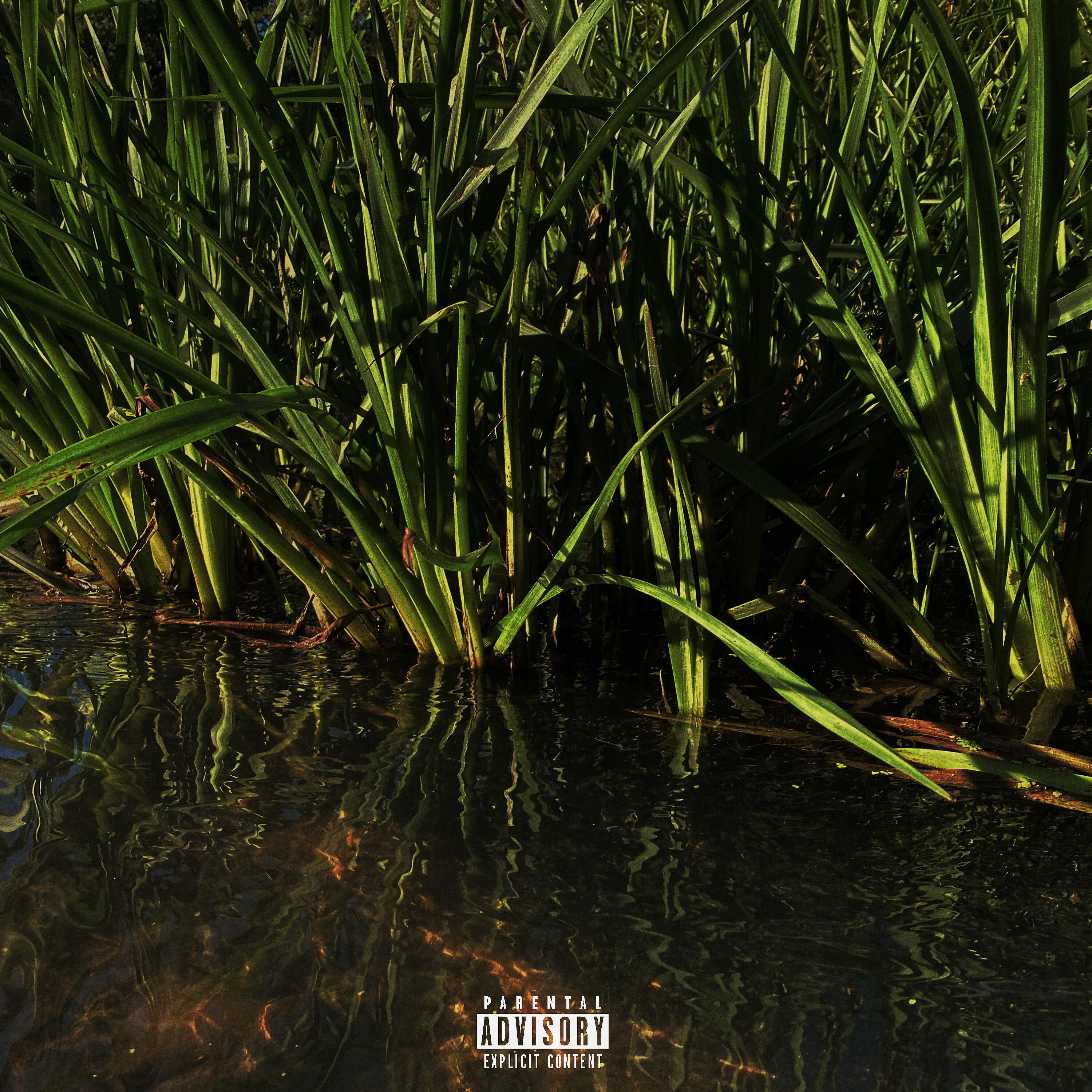 Релиз Tropics