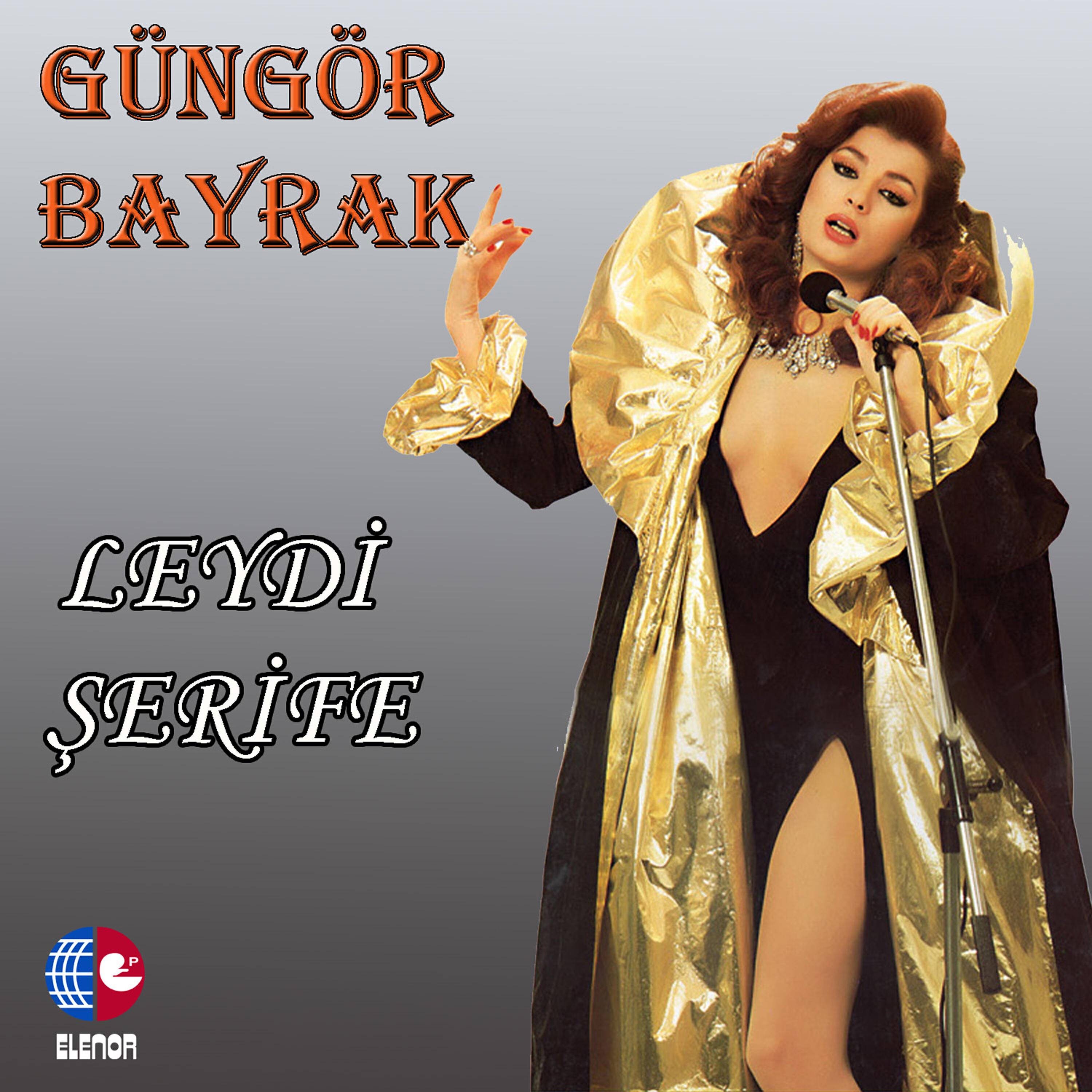 Güngör Bayrak